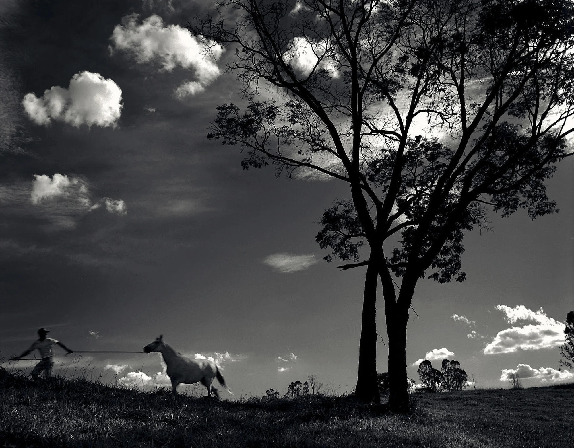 Laponia-1, 100ppi.jpg