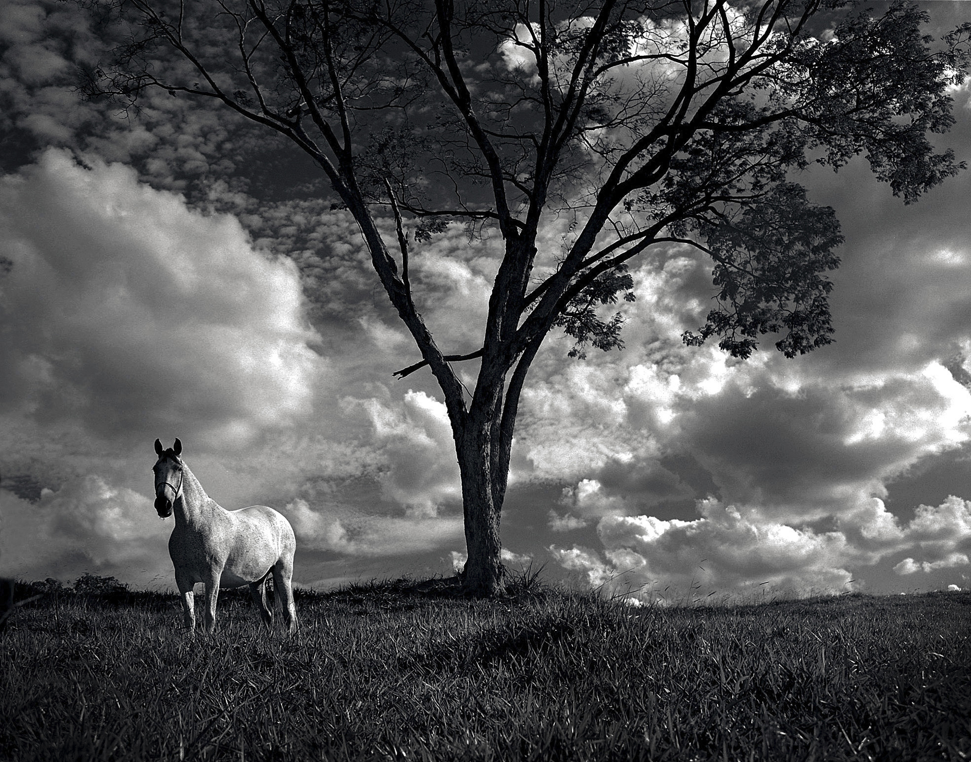 Laponia-2, 100ppi.jpg