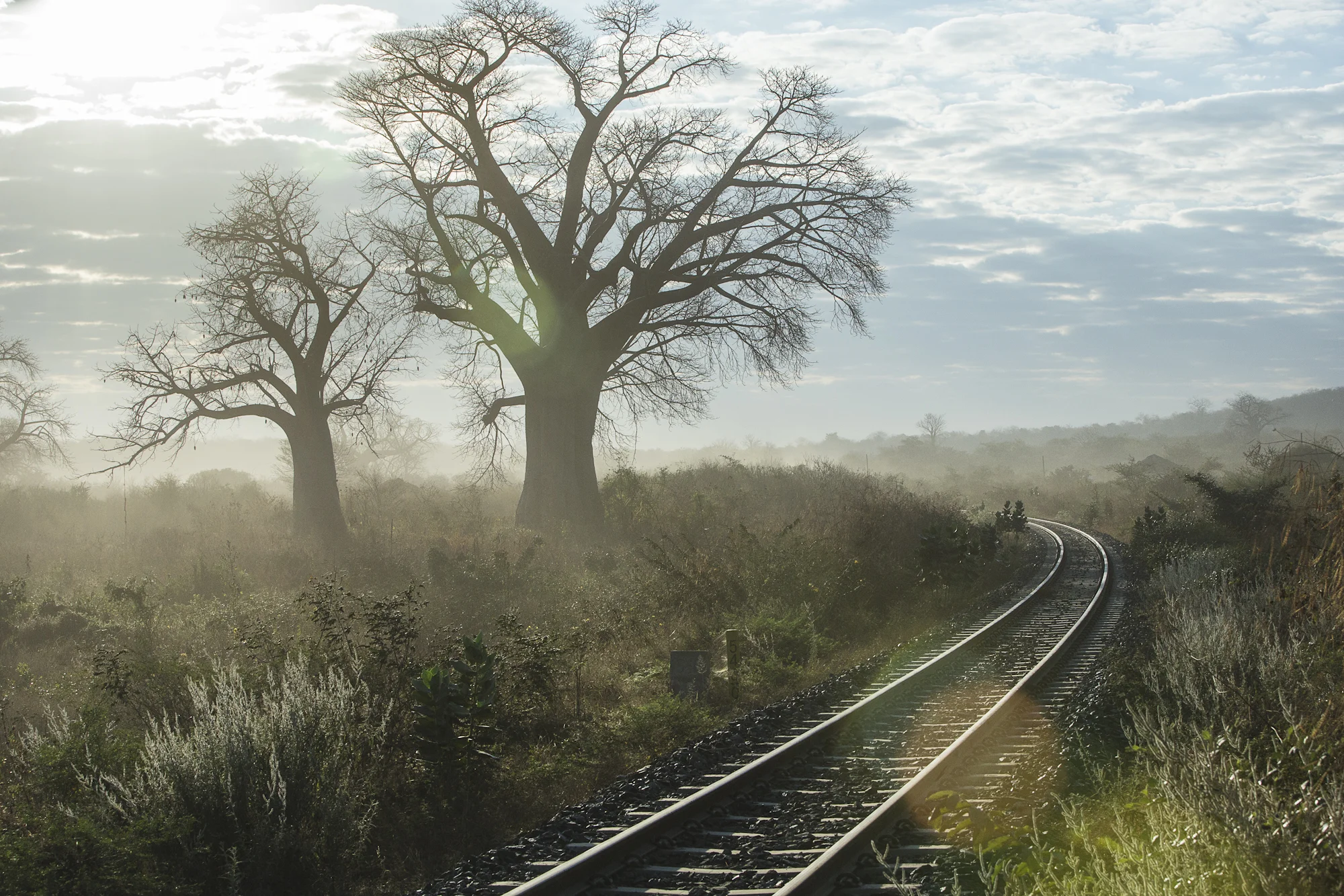 Mocambique_jun2013-3849