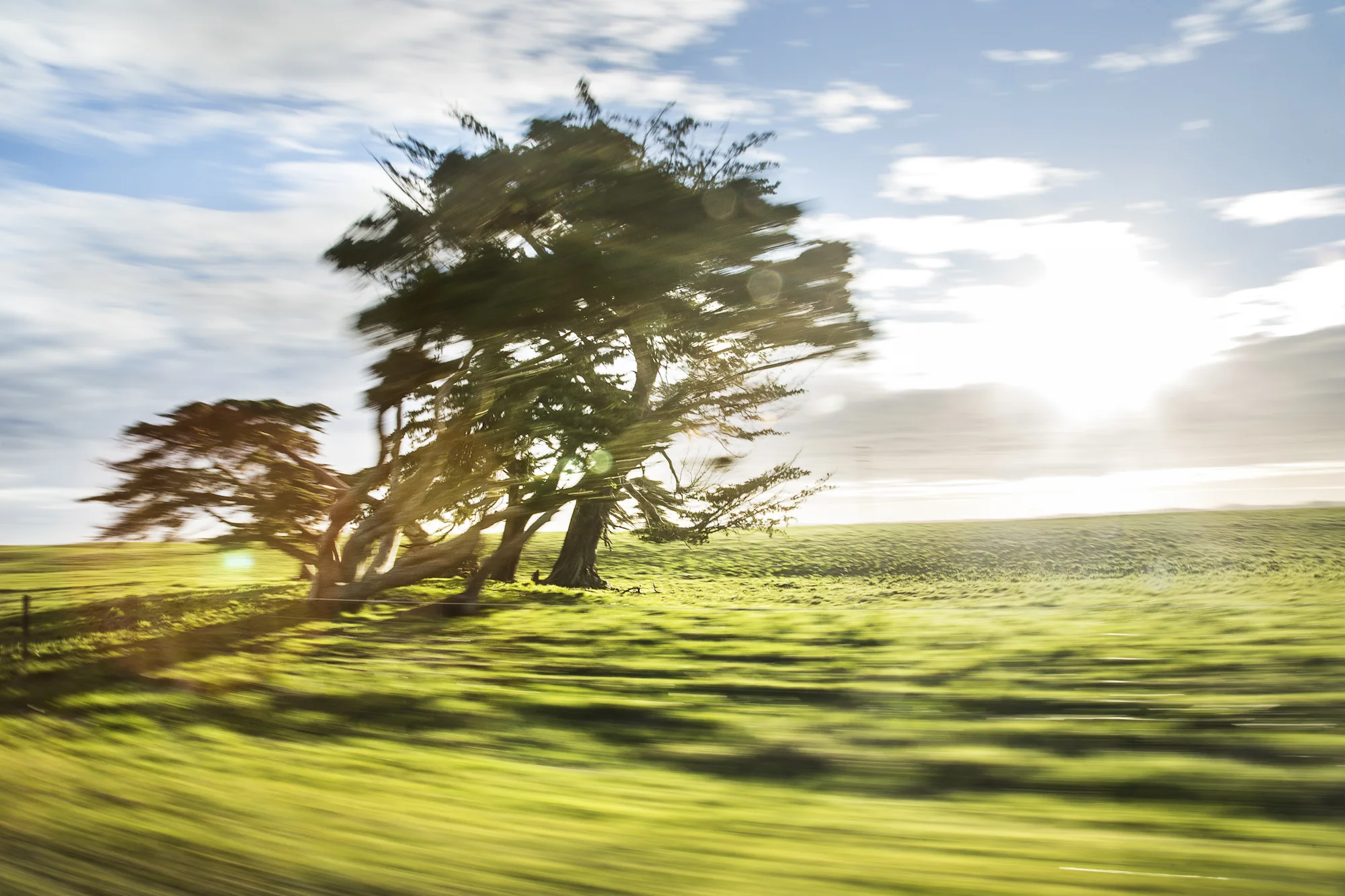 Nova Zelandia_ago2013-4670