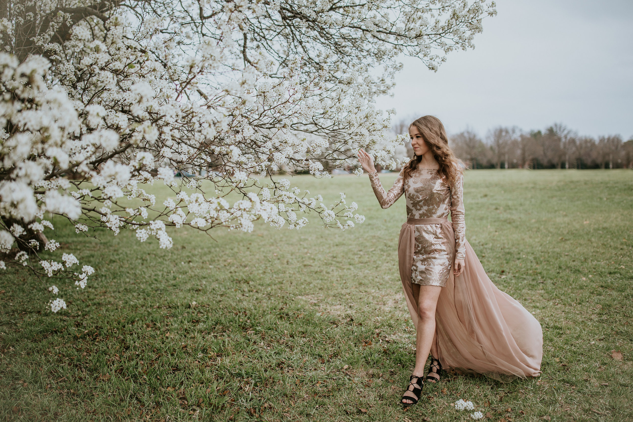 Preview of "Evening in the Garden"