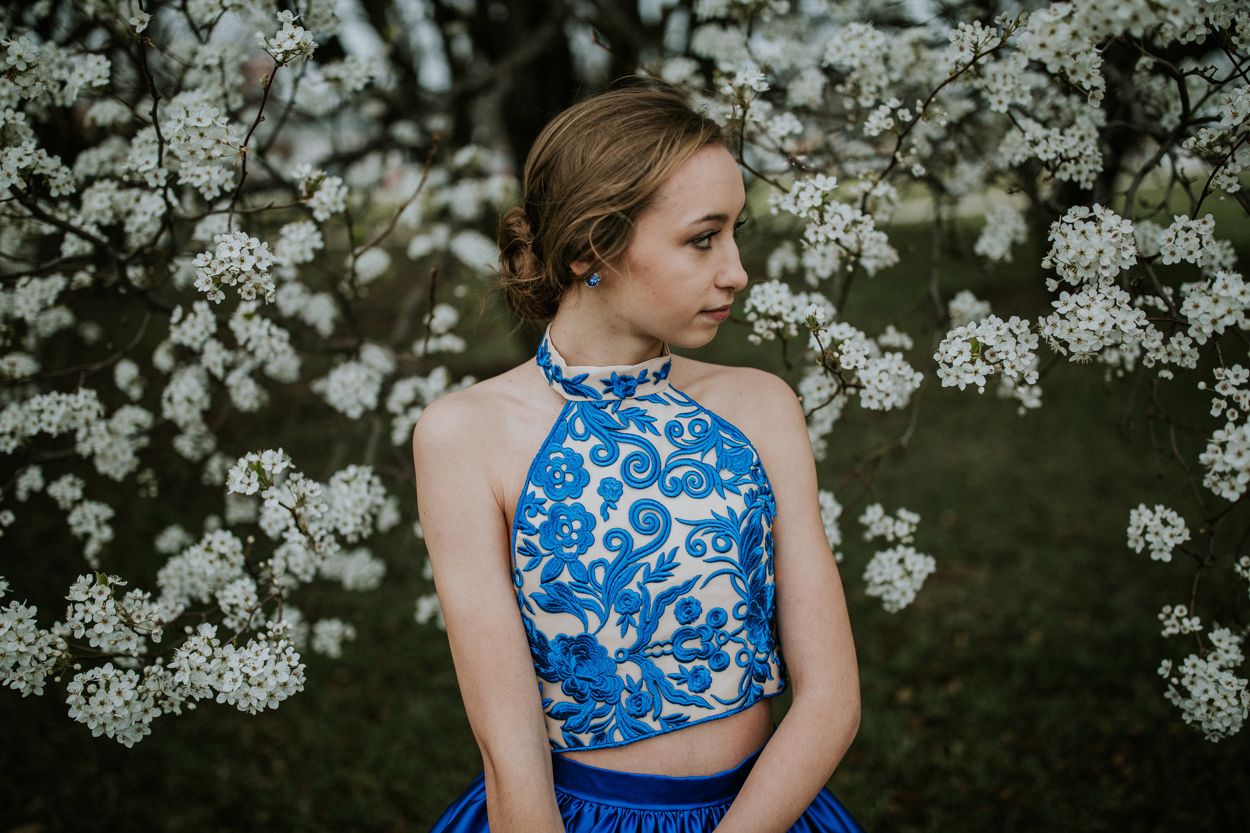 Preview of "Evening in the Garden"