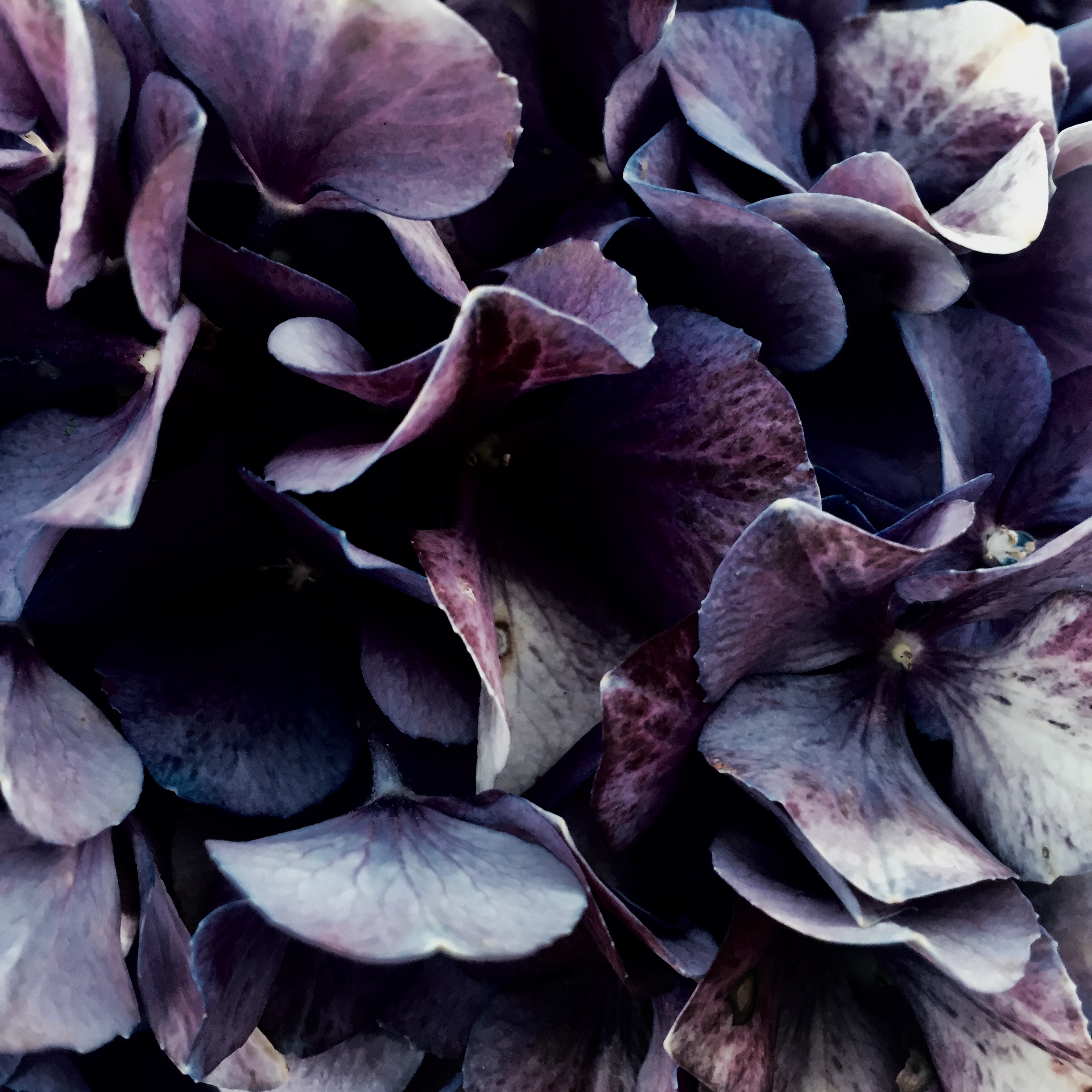 Color inspiration for the SS18 collection