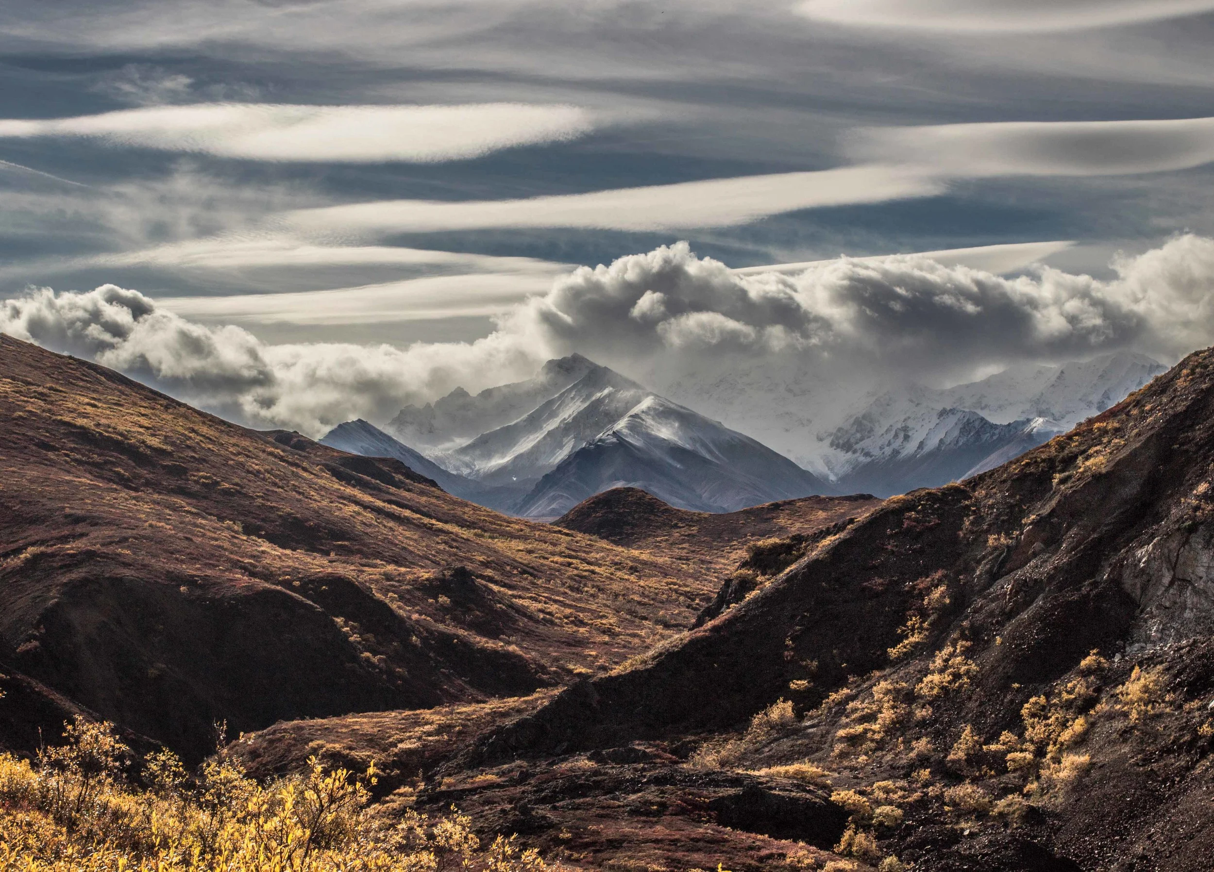 140b_denali.jpg