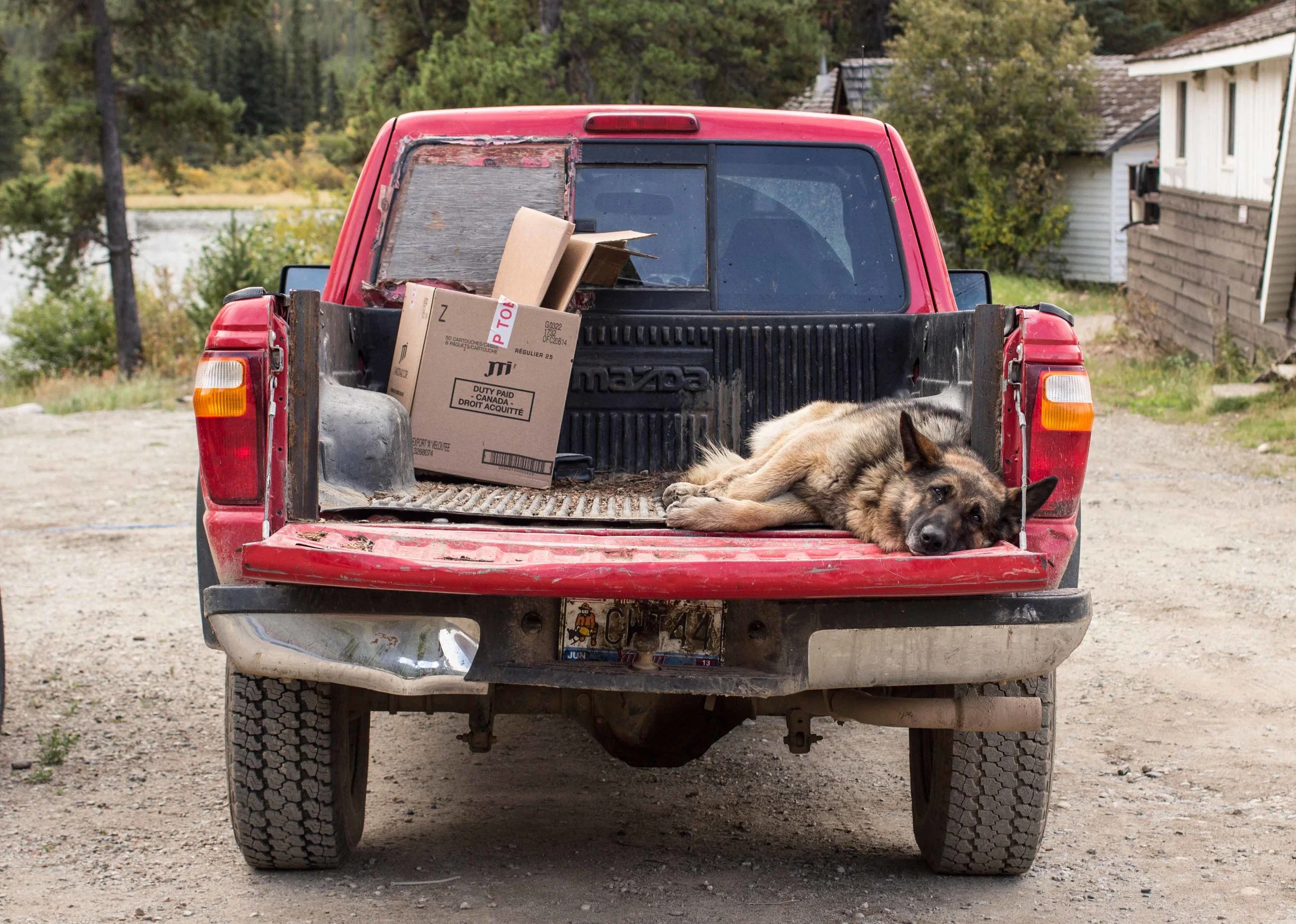 98_llyods_truck.jpg