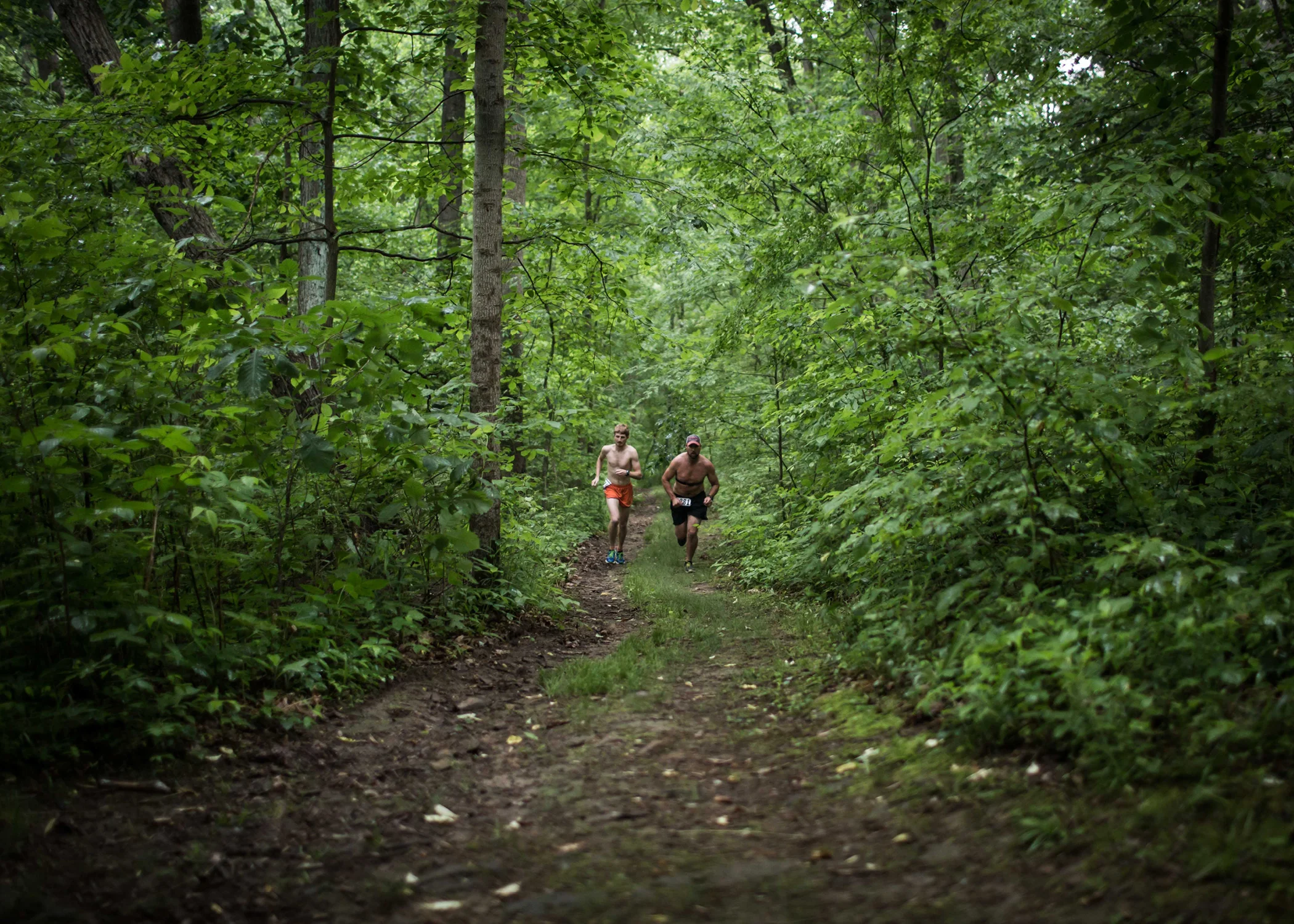 Clear_Creek_5x78.jpg