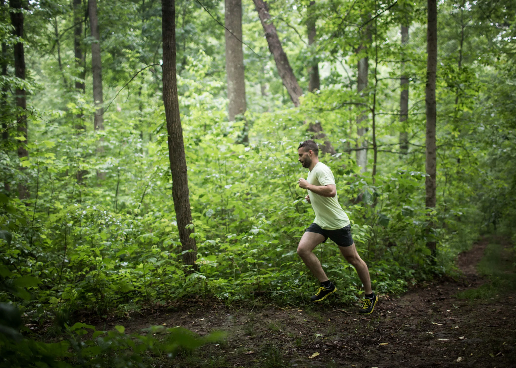 Clear_Creek_5x713.jpg