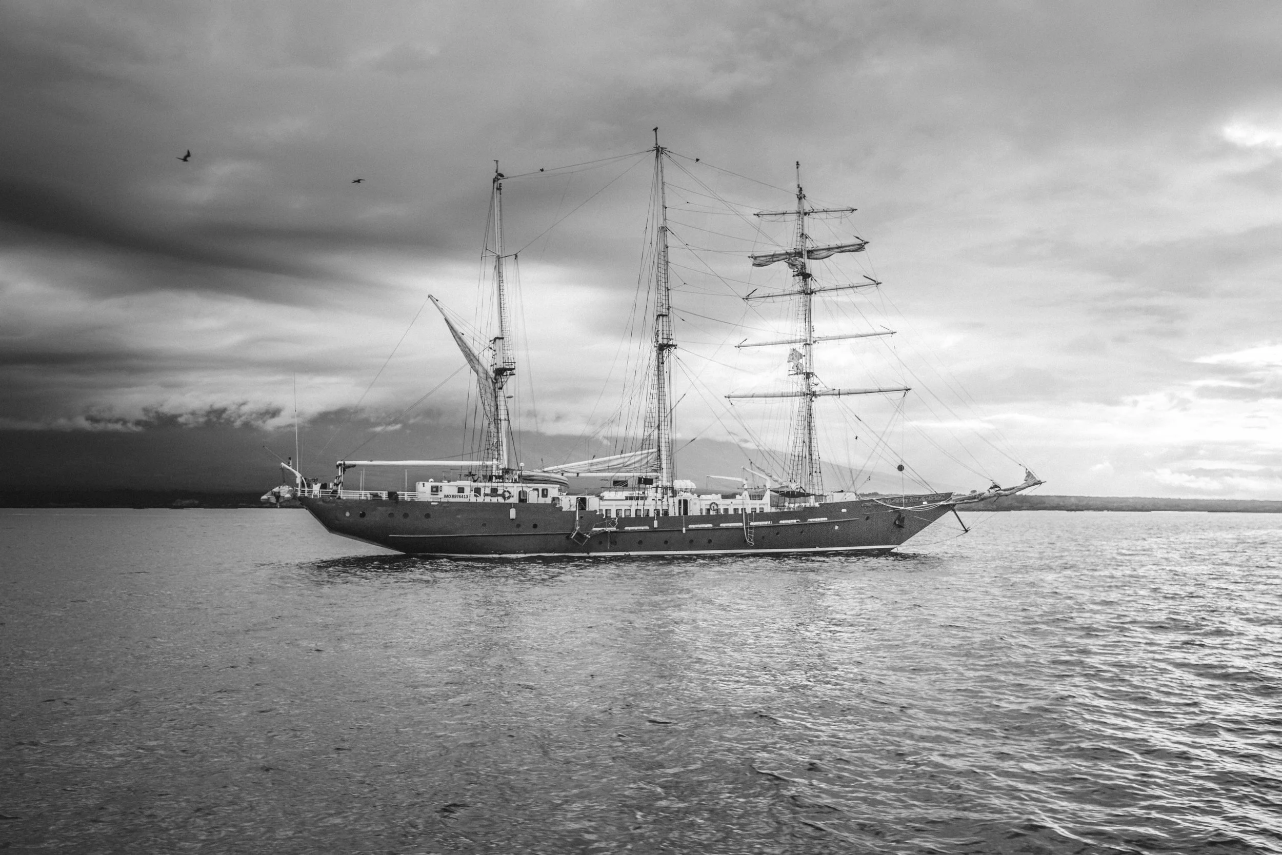 Galapagos-188.jpg