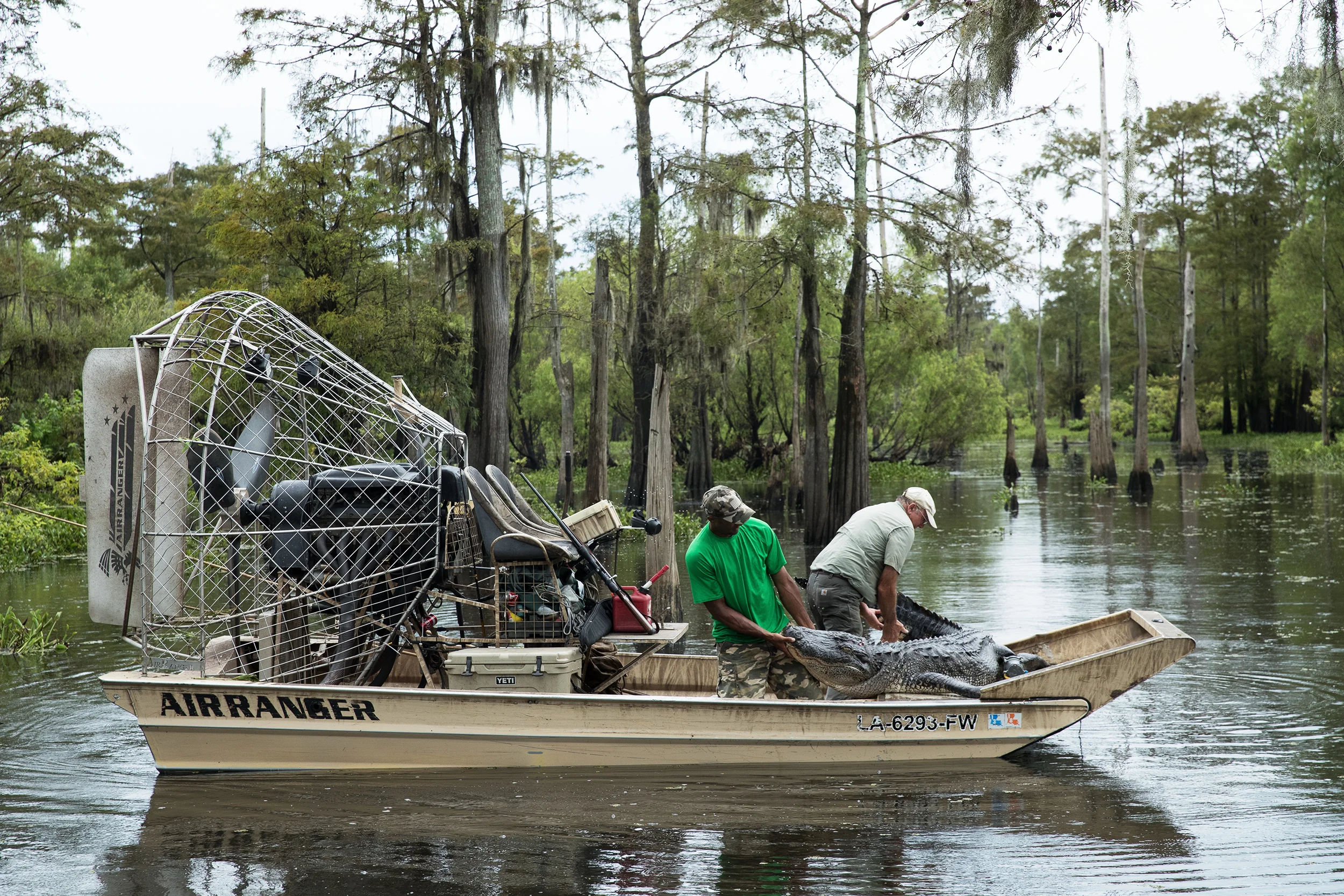Swamp People 8