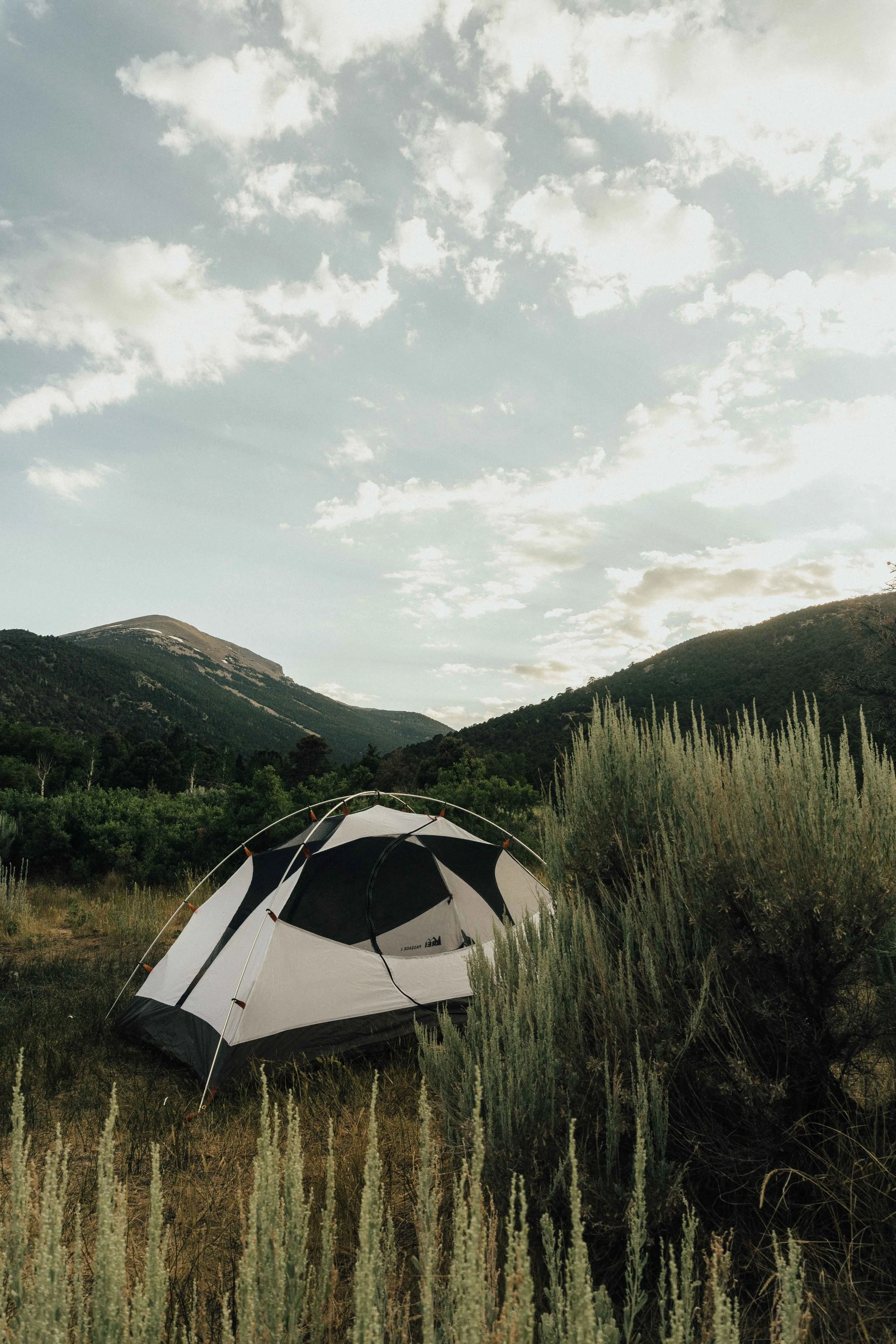 Great Basin-15.jpg