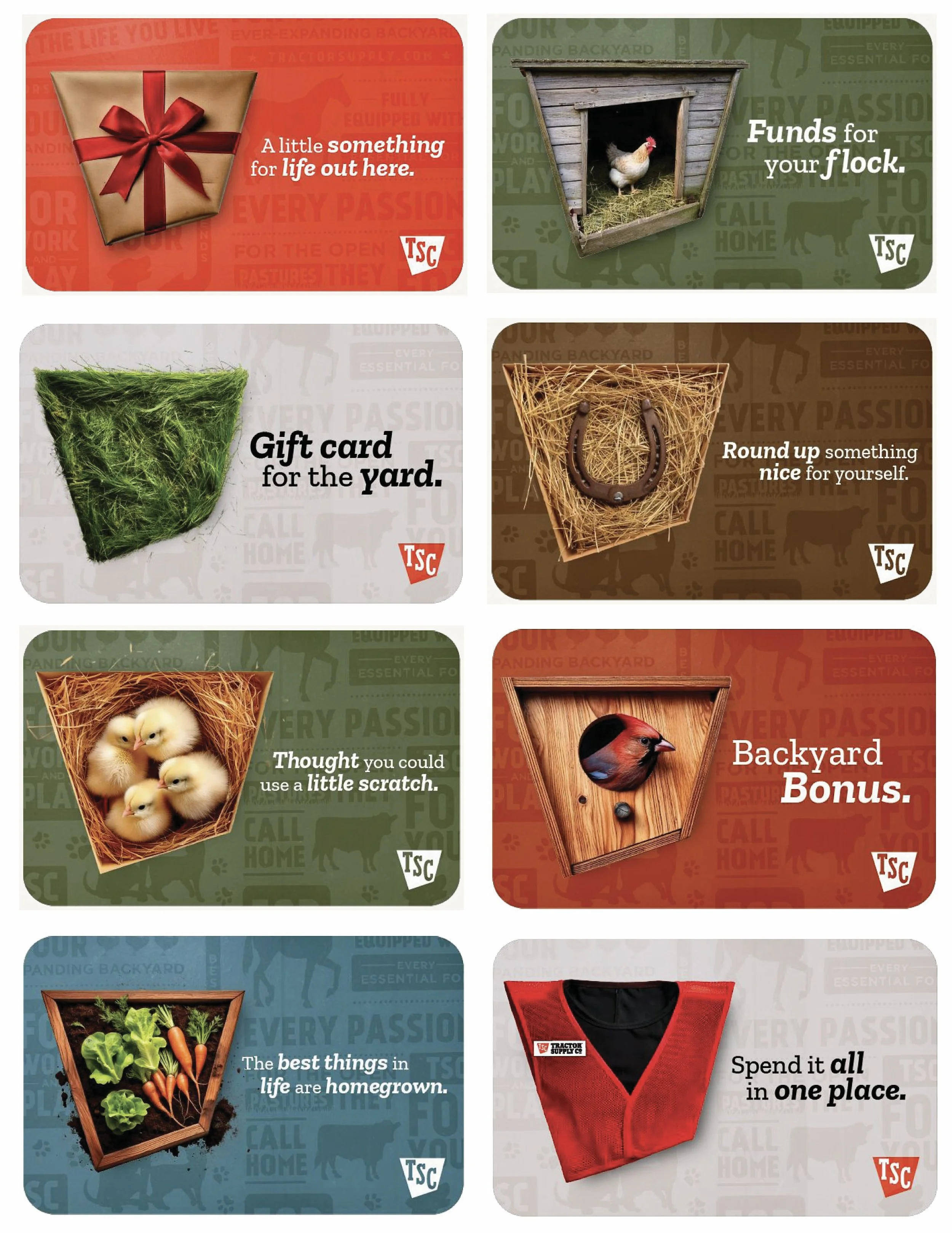 TS Gift Cards 2.jpg