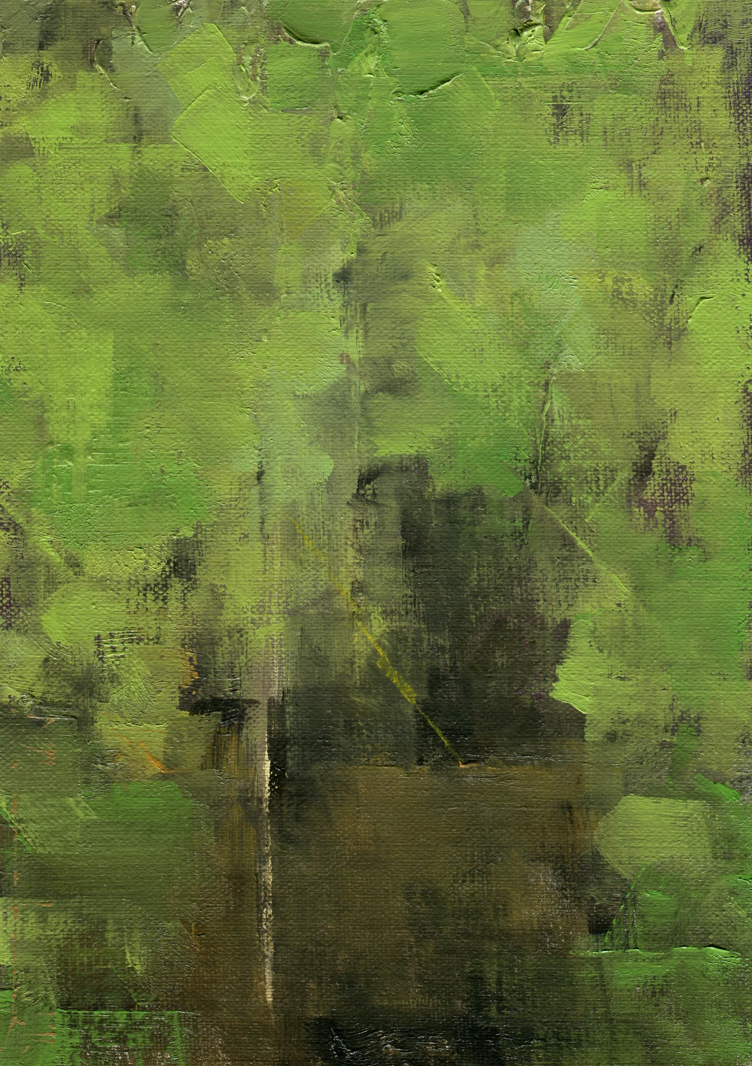 The Light Rays (2016) Sold