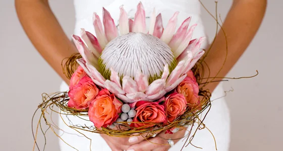 Protea, Roses, twigs...