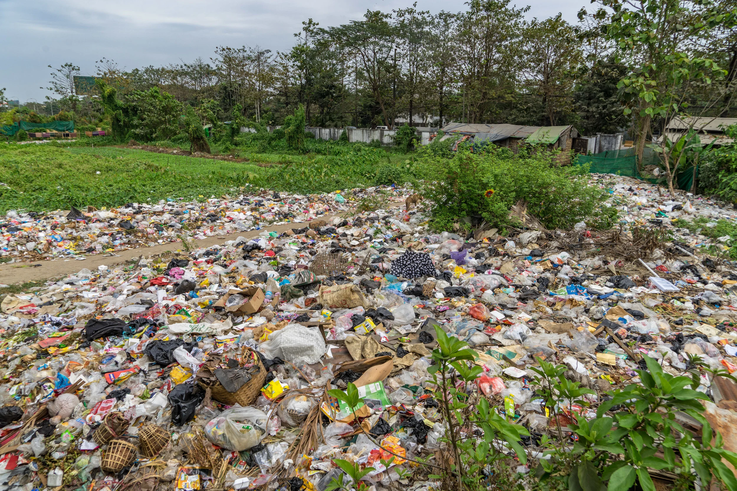 Just outside the train window... we need a solution for plastic asap.