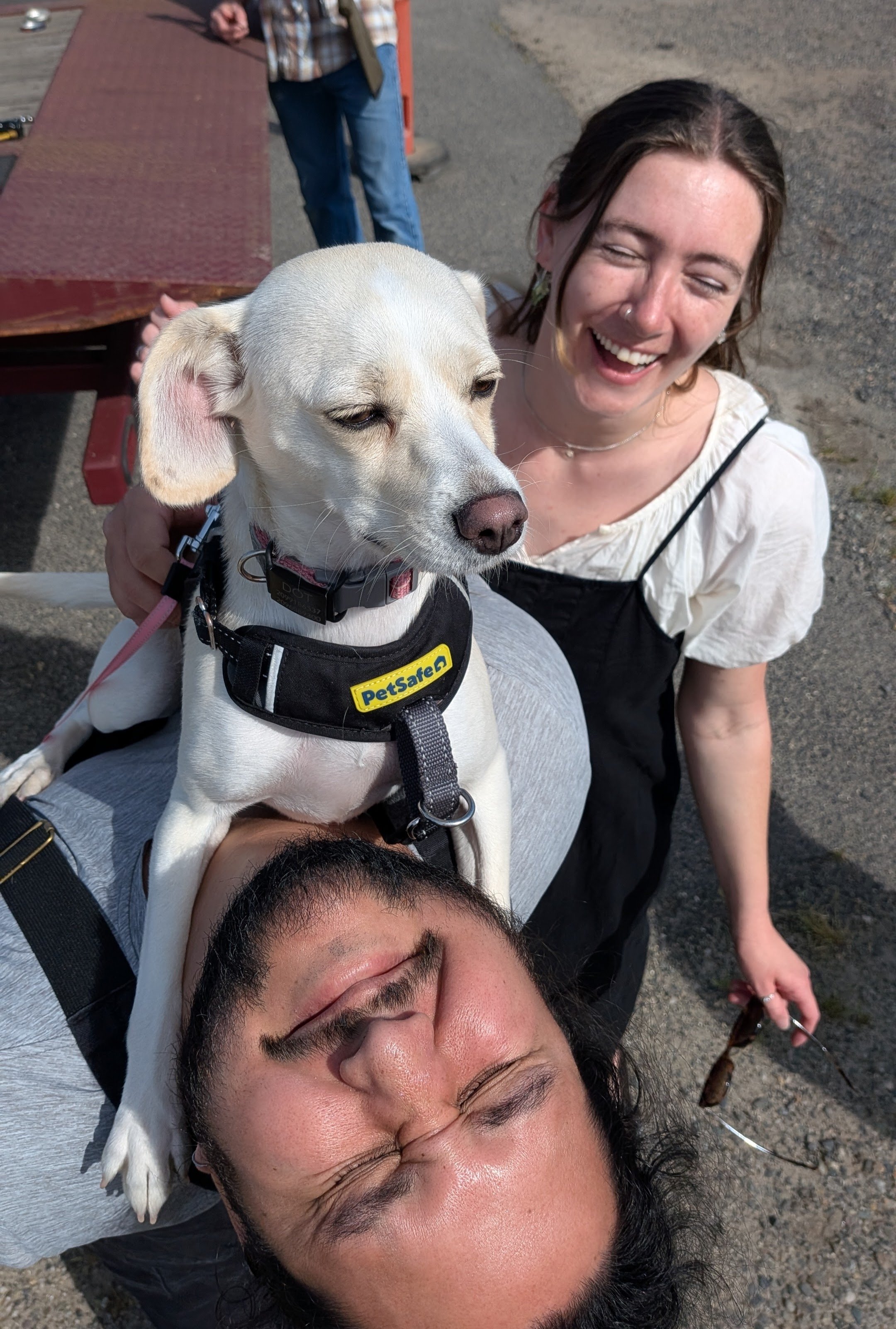 People and Dog