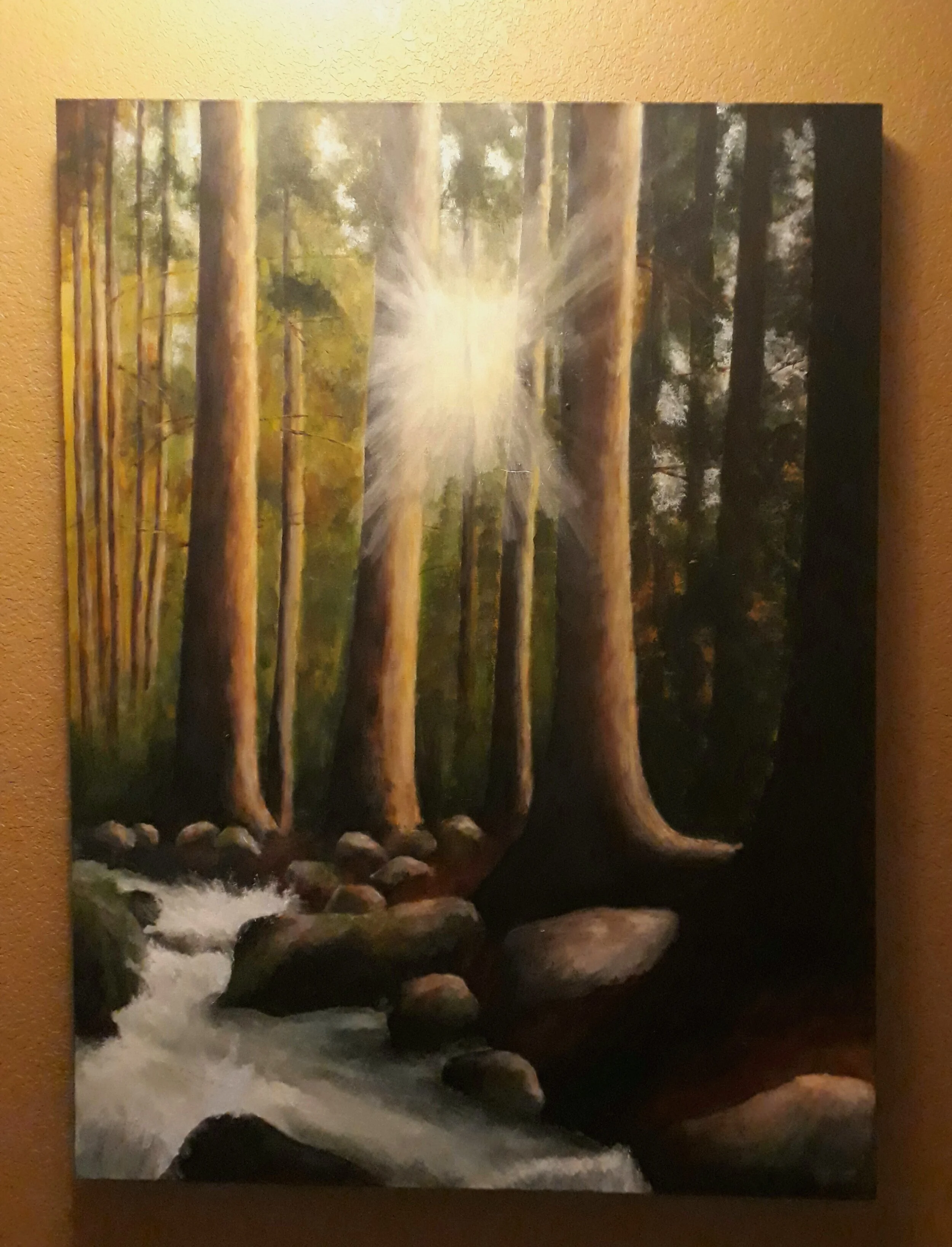 Sheep's Creek 