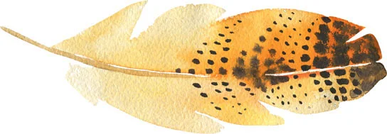 Feather_Yellow_5_72.jpg