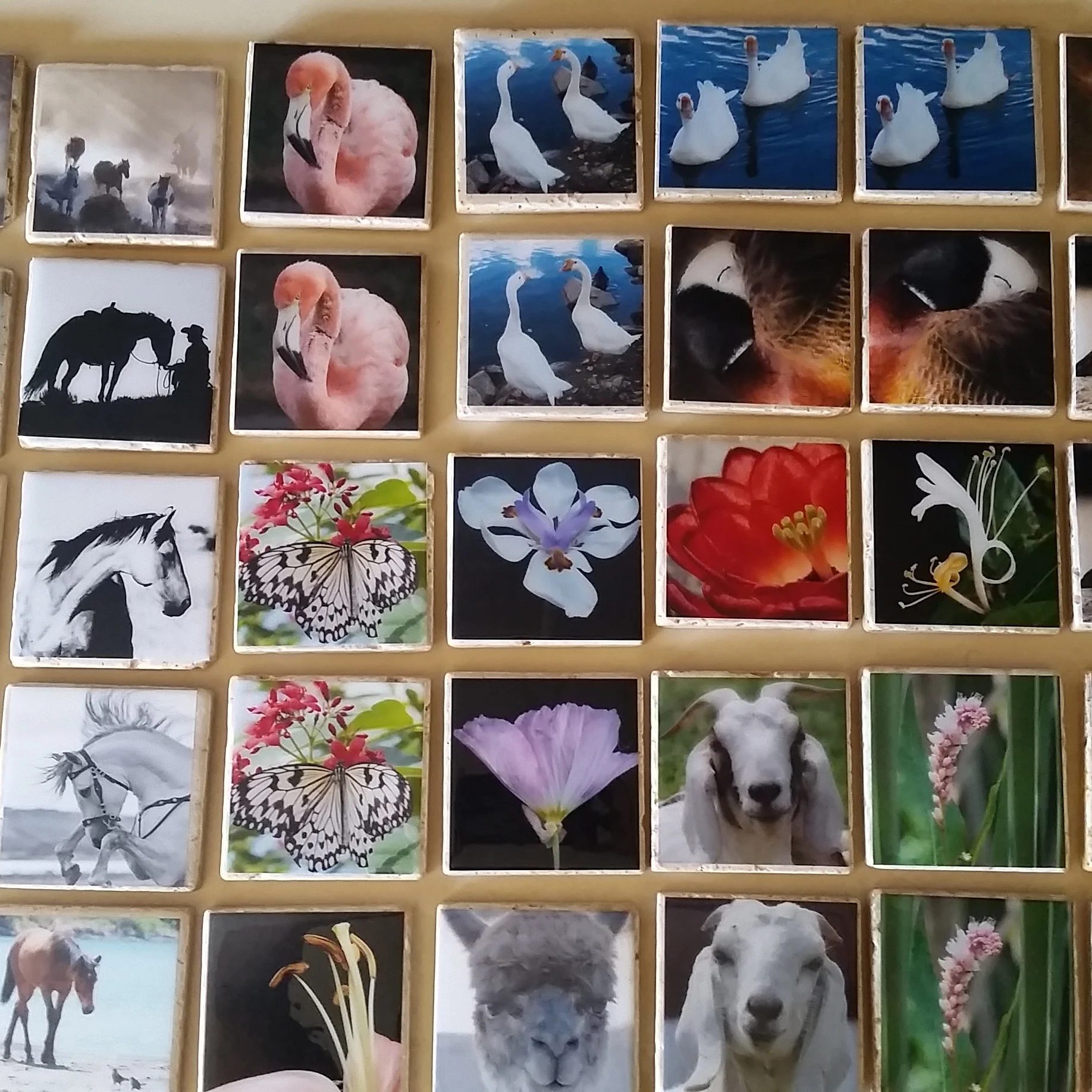 PhotoCoasters.jpg