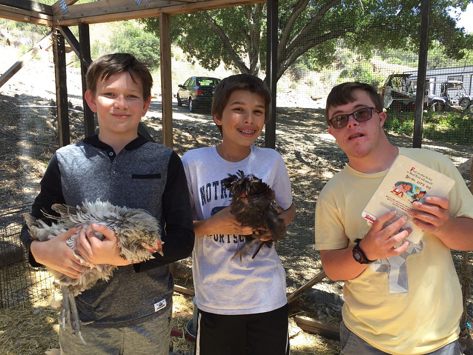 more boys with chickens 4_14_17.jpg