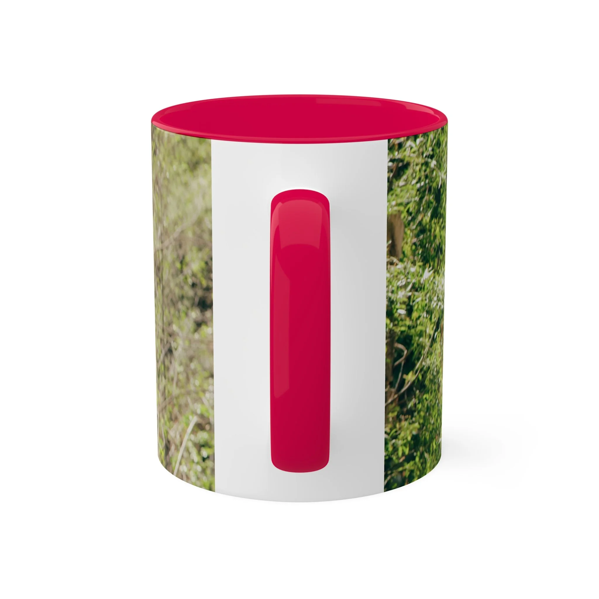 70f94e87394fa001eb138f67585cbe8d