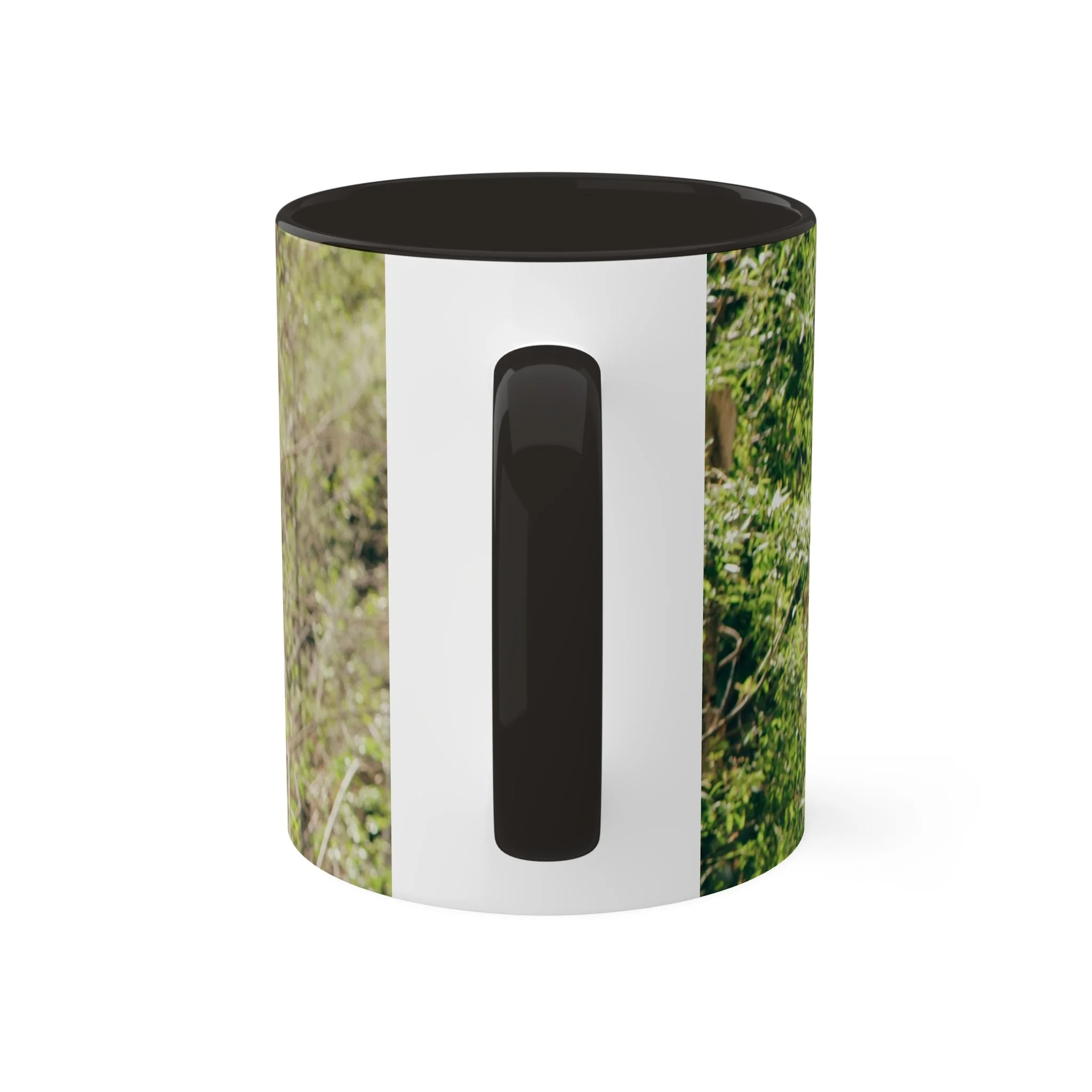 61b519512031699680cd59beaa5085ab