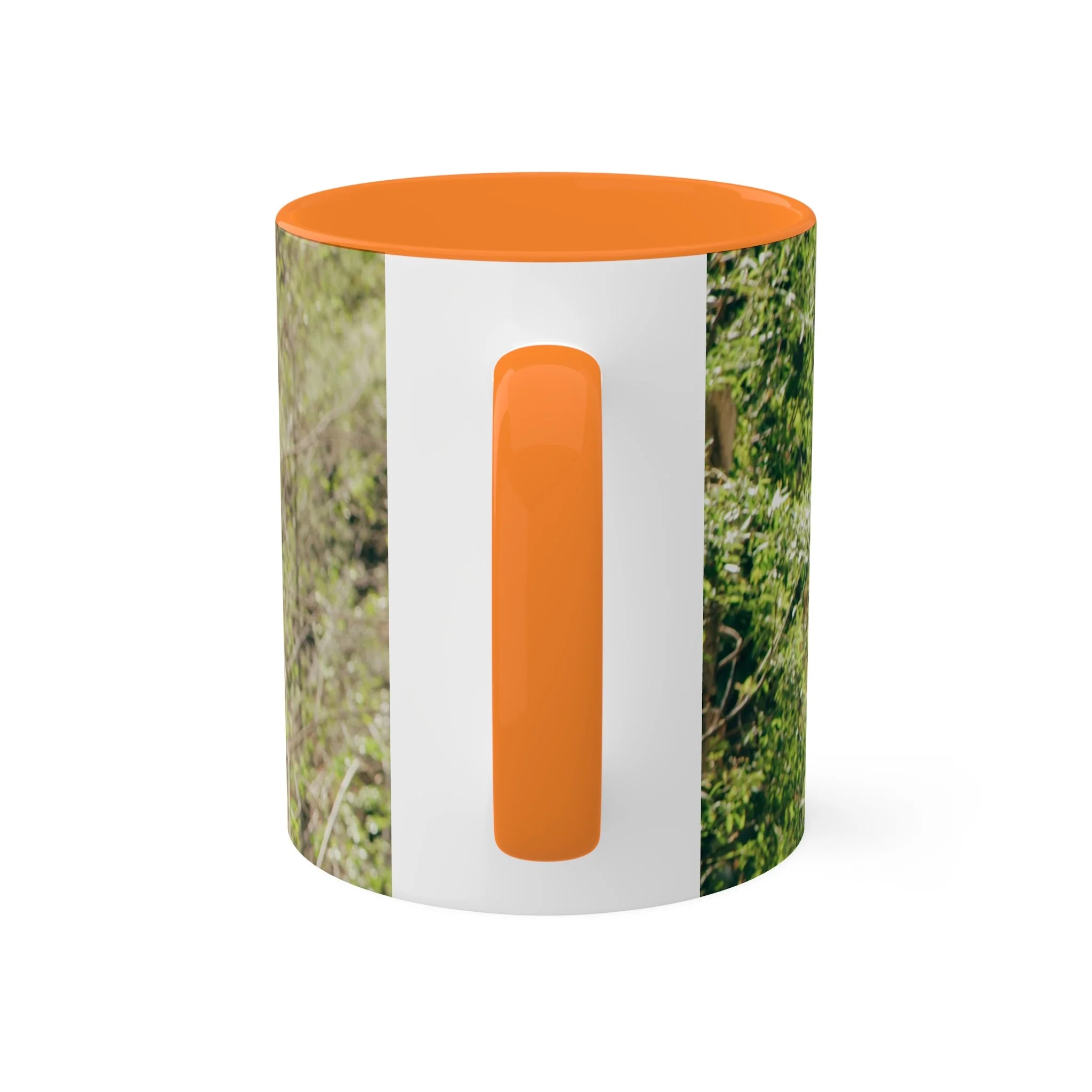 802b9360717ac93a6fd6fc6a4caeb193