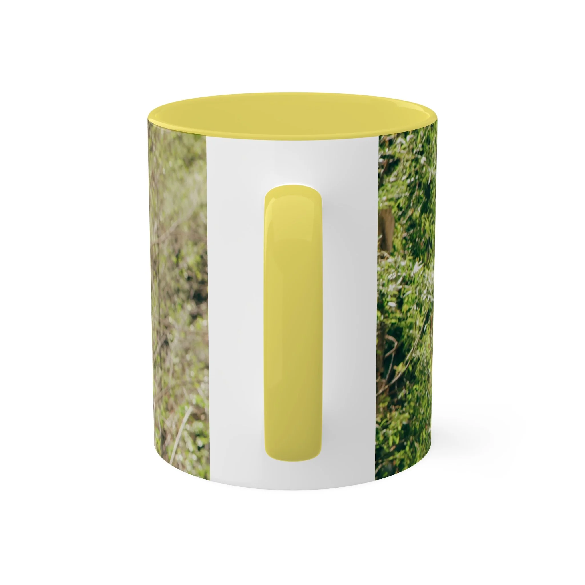 1c868e6c9fec84663dff22aad590feb4