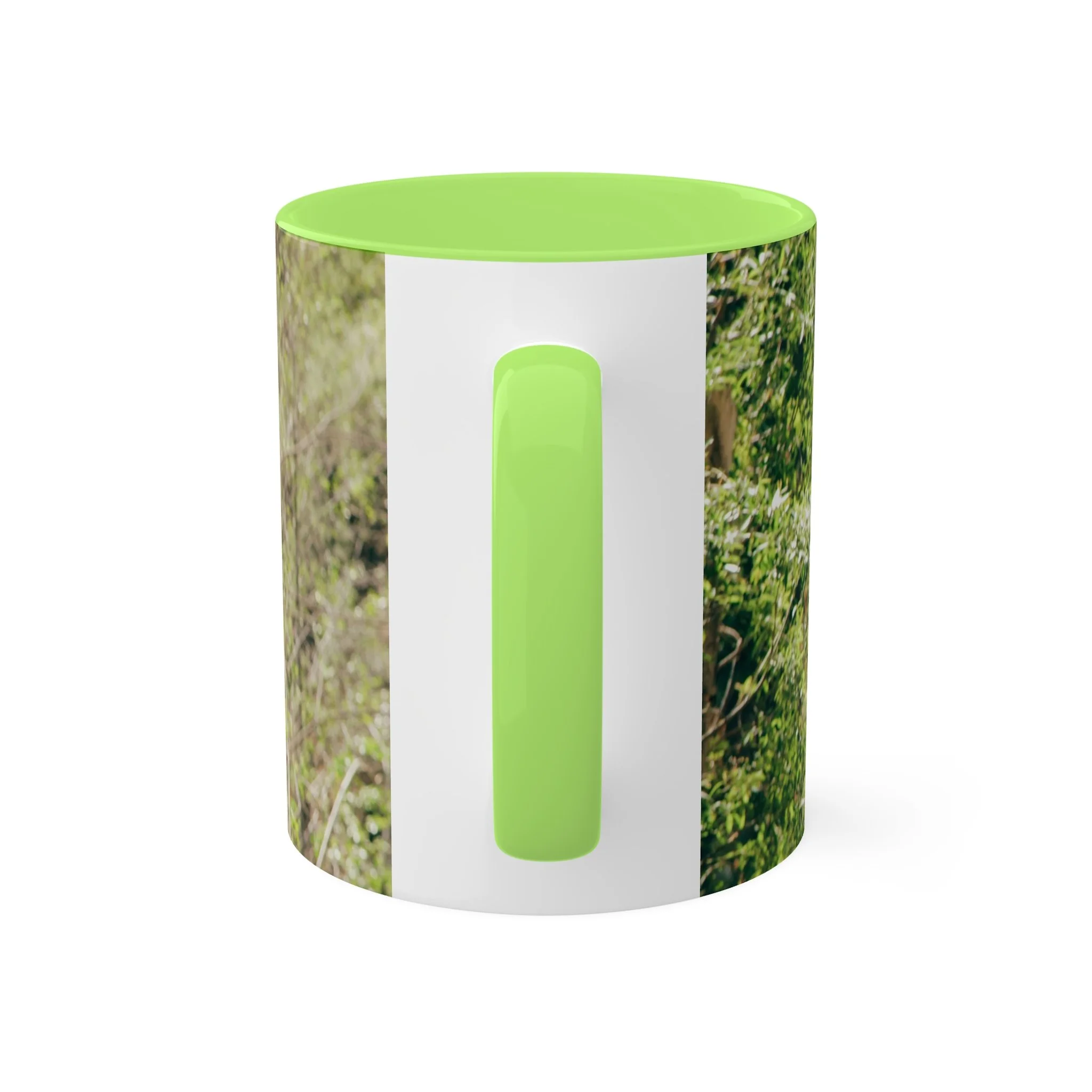 70f93a588ef2e67d6c0f1e3ba65ed27a