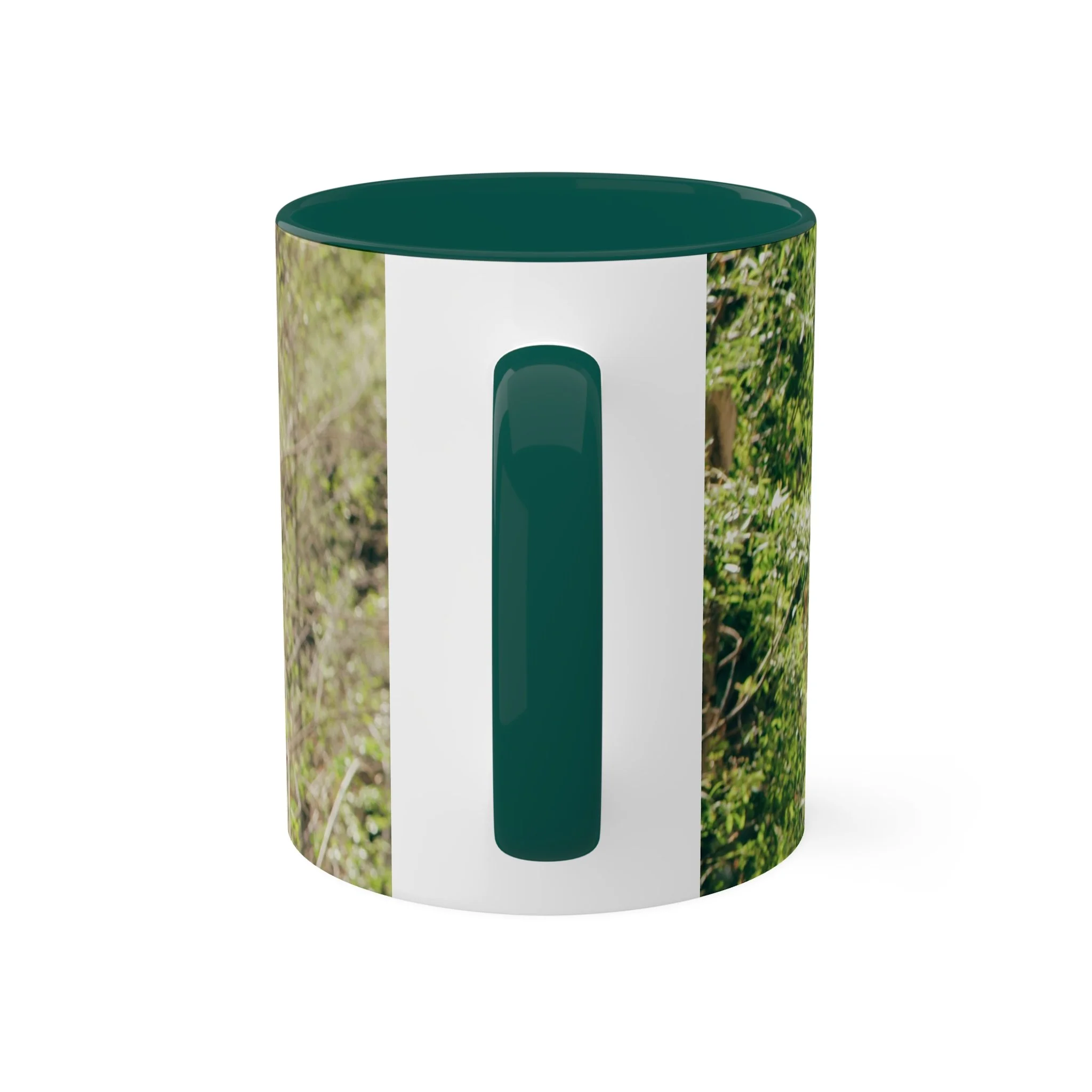 35d7428fdc4eb14cd6884d73dda20990