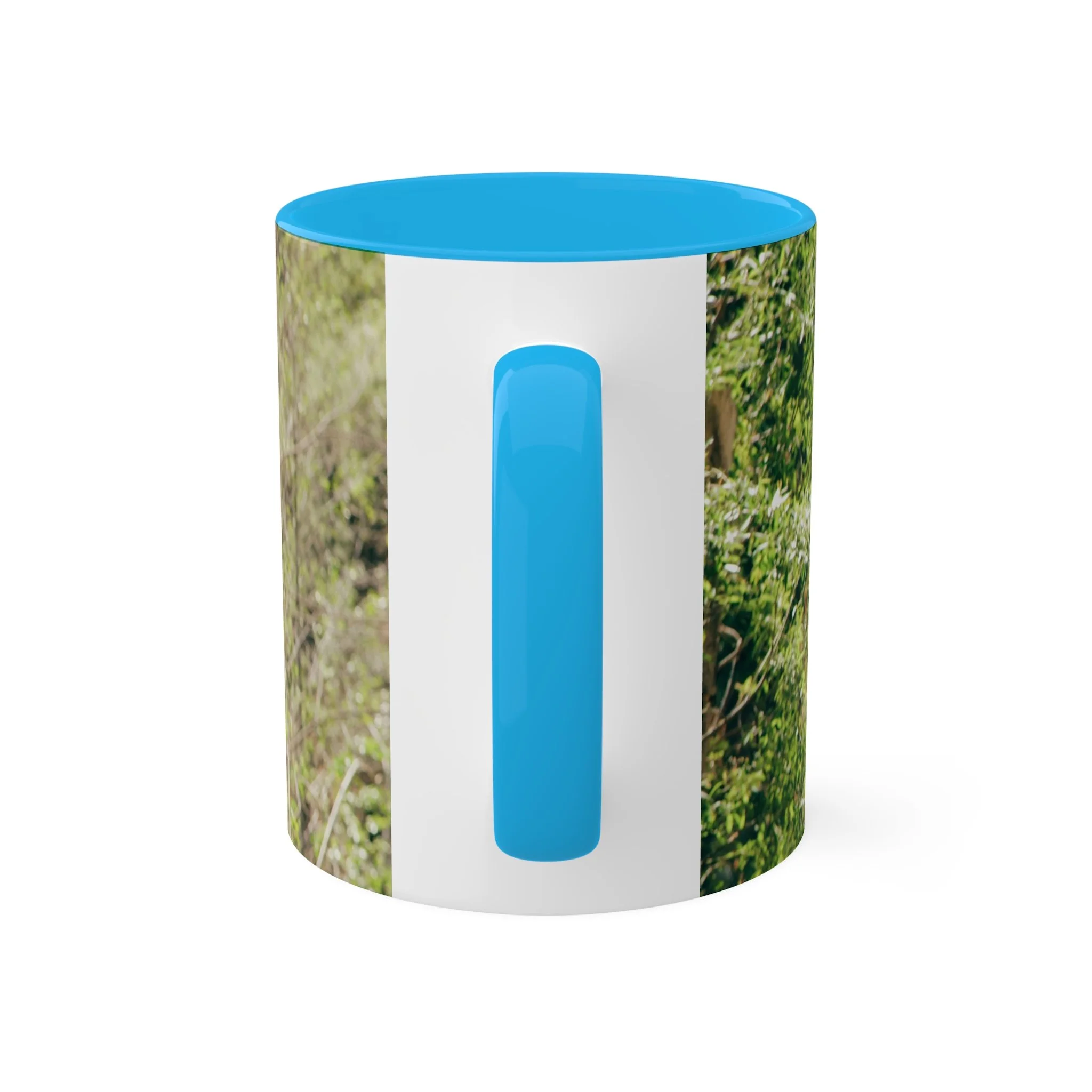 954a4e573435a668d85214a356d7e927