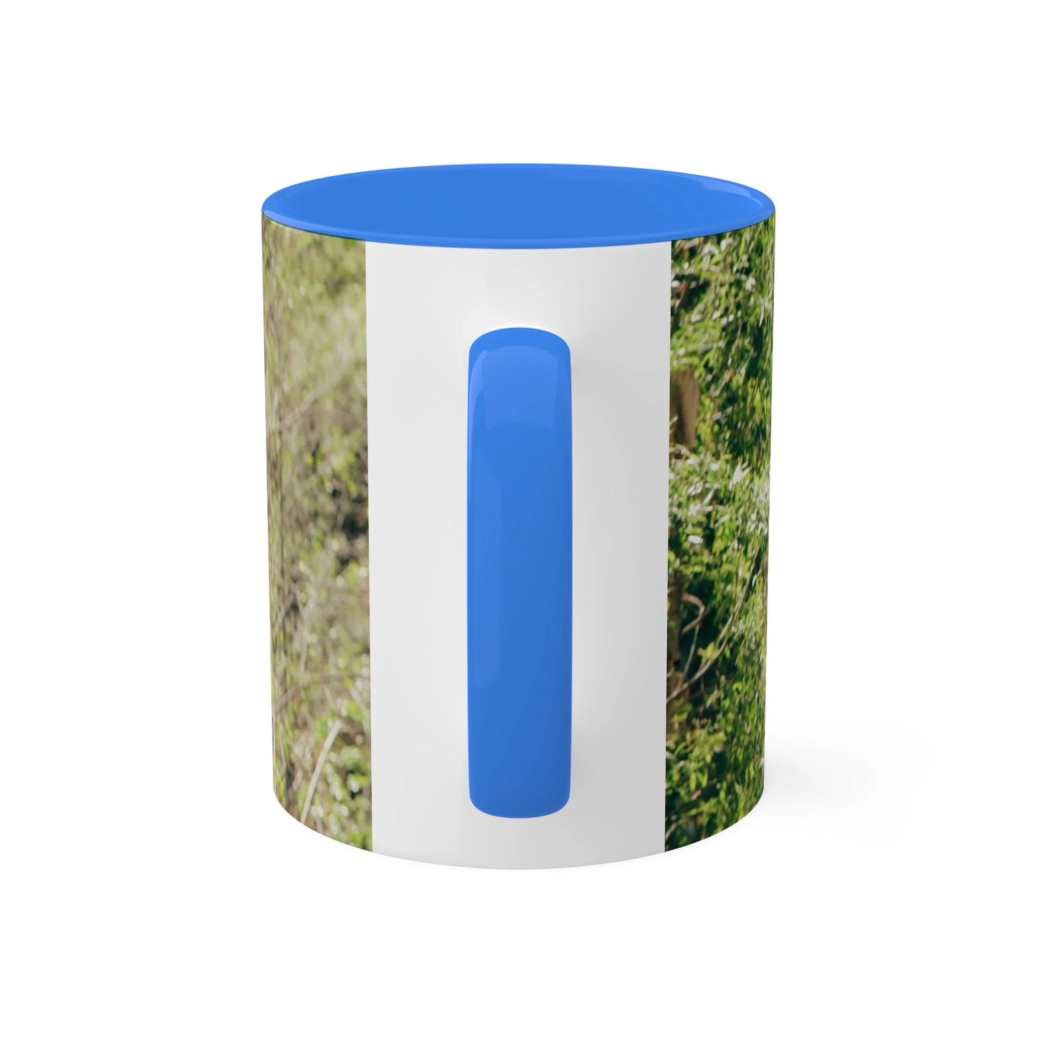 2526ef5203fbf662f5ecbaeb59967906