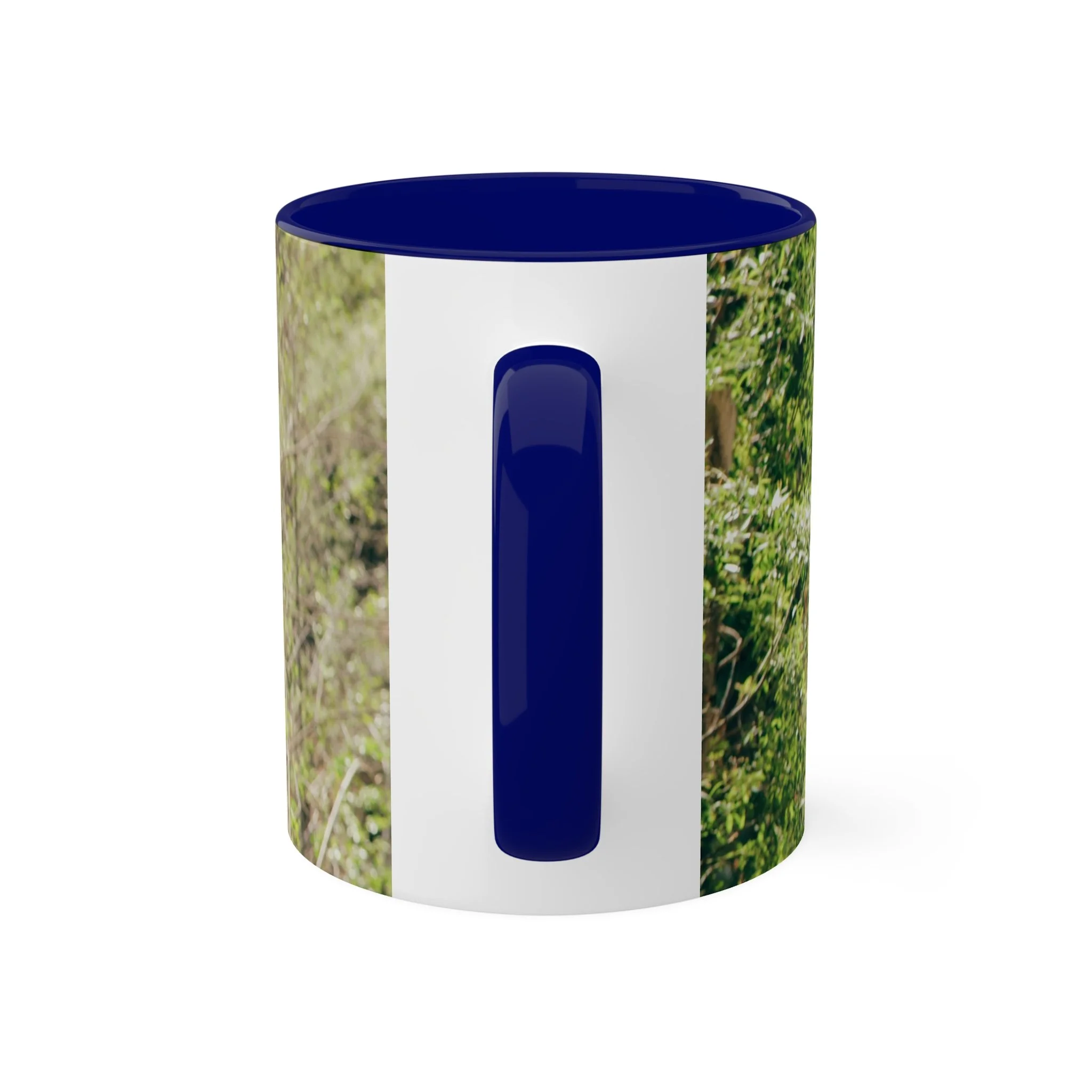 bda0301314c63ac0373b4a469077e49e