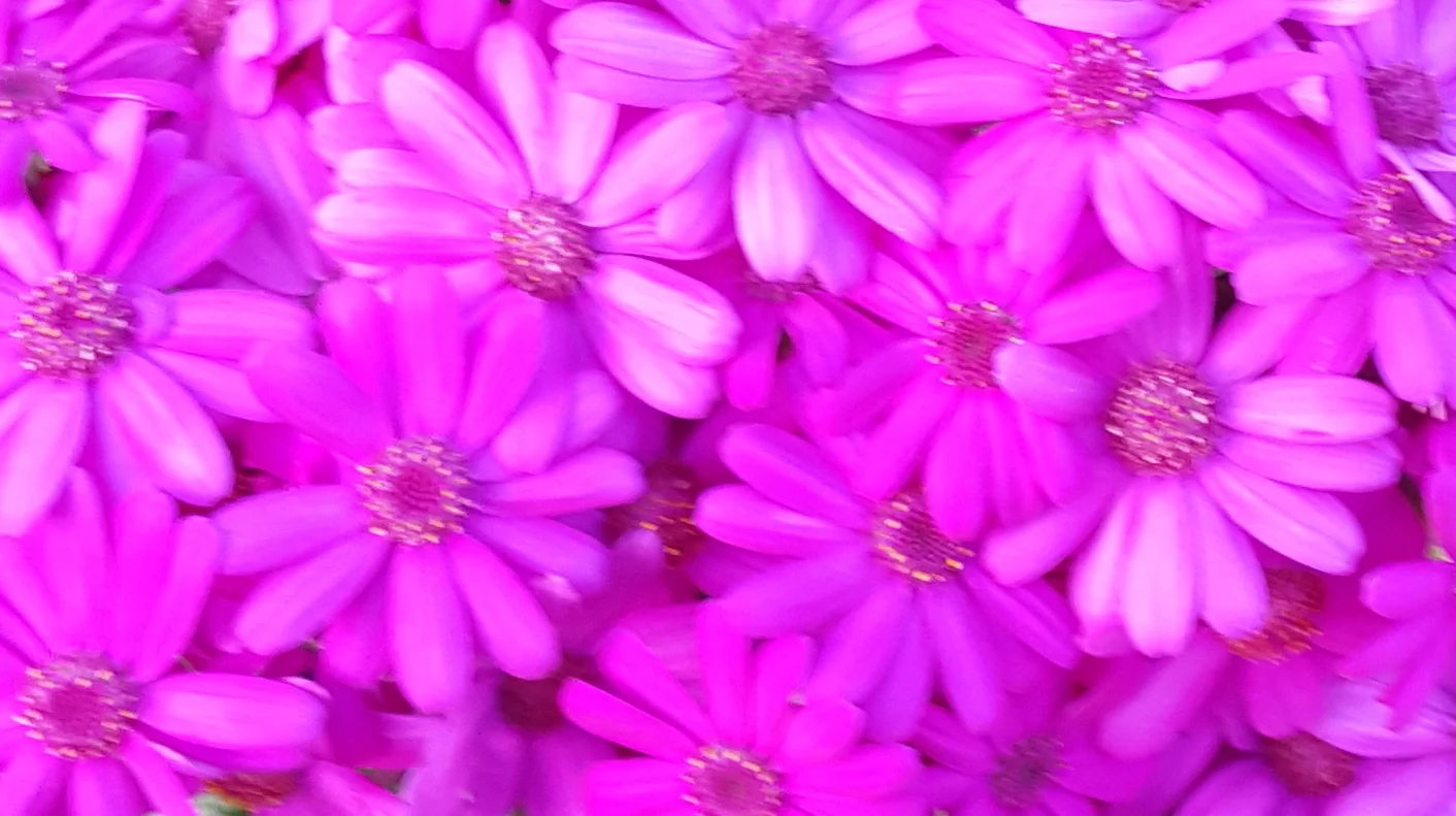 20150918_163207 copy 2.jpg