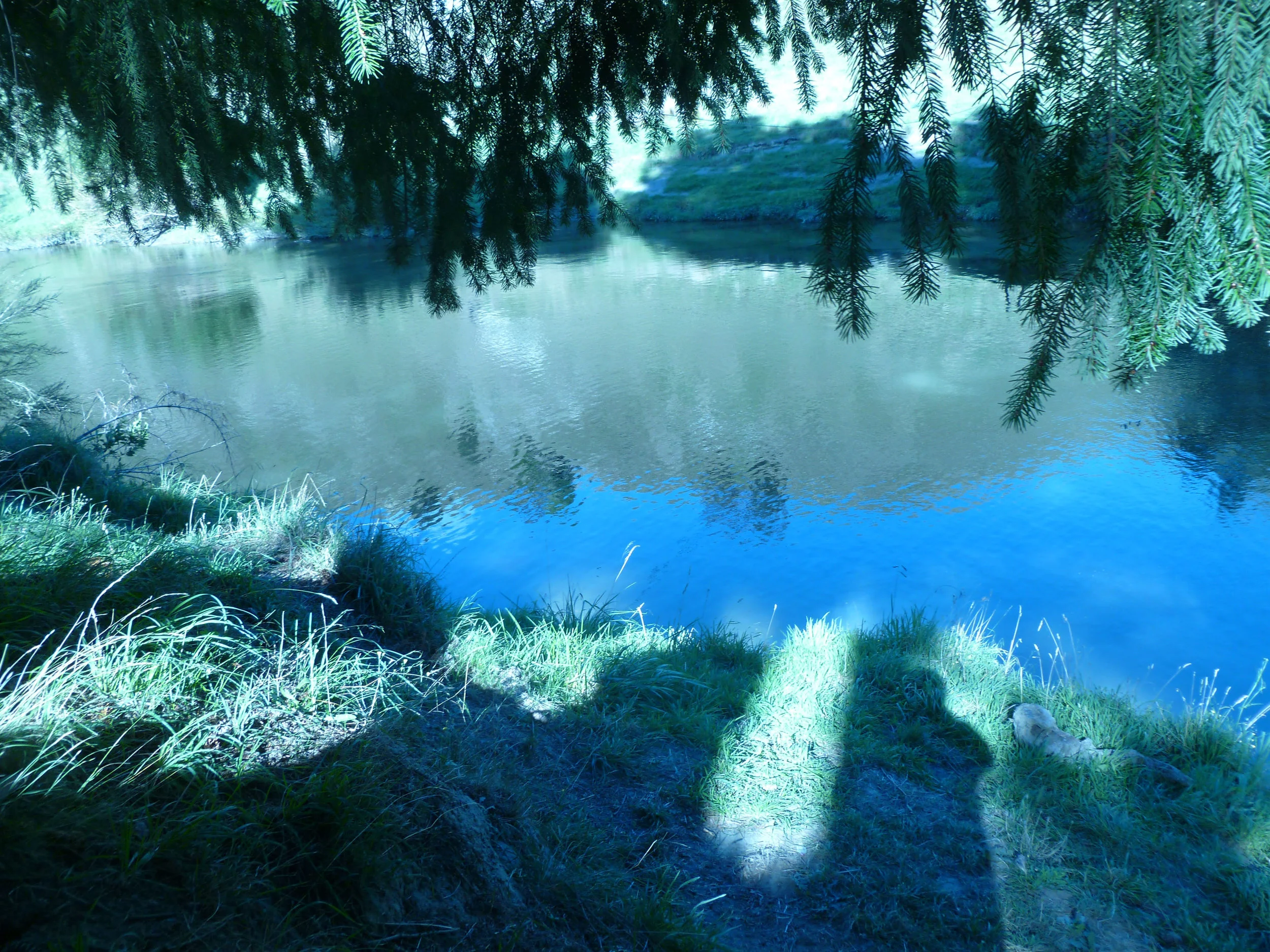 River Camp.jpg