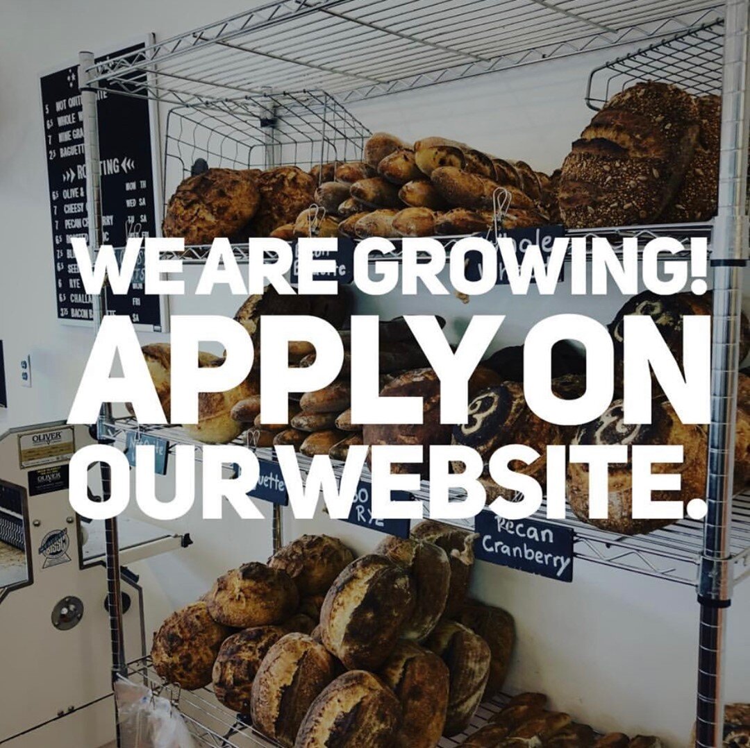 We are hiring! We are looking for a bread baker, a mixer, and a pie baker. Apply on our website at butterthebread.com/apply