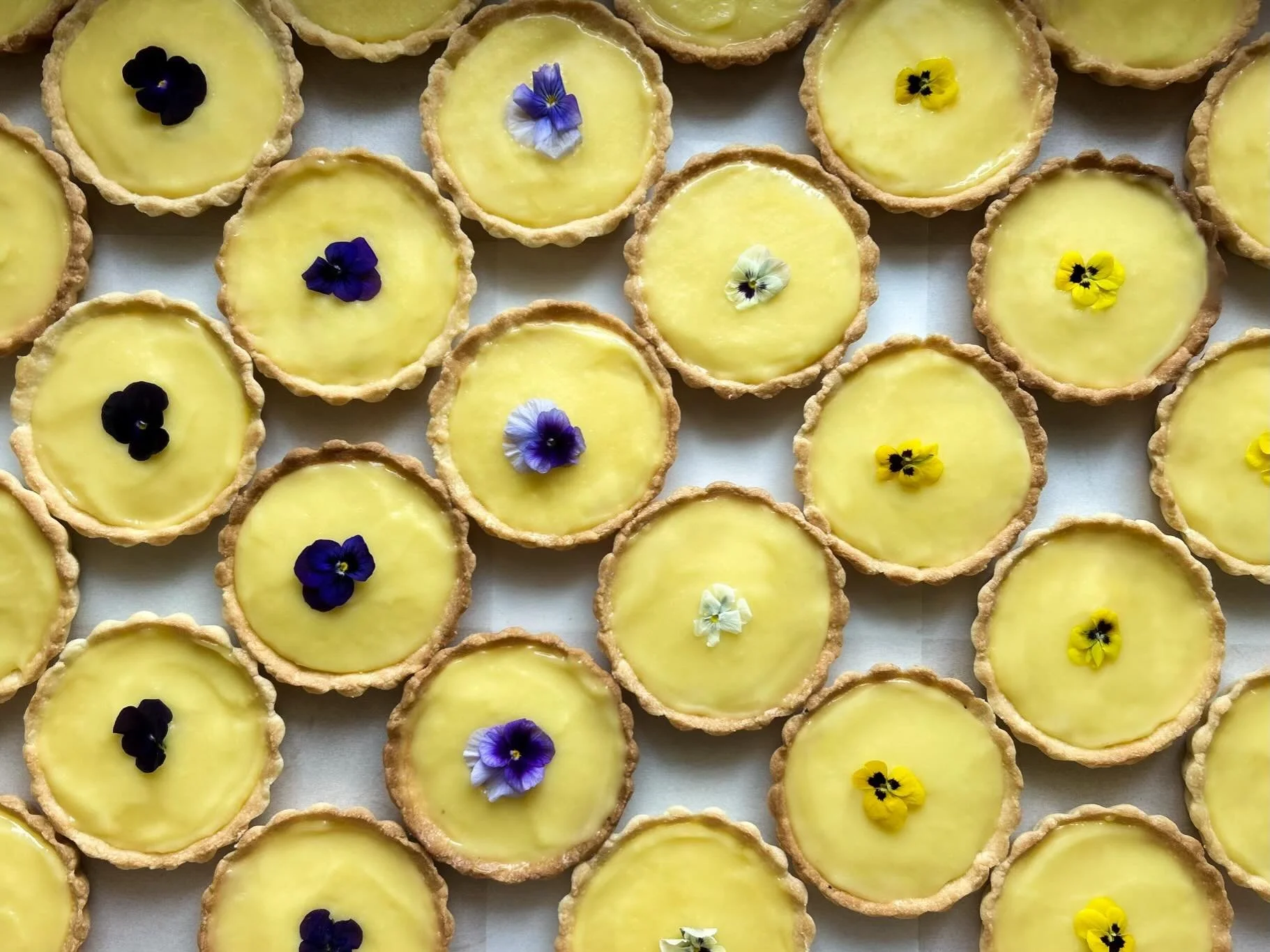 Lemon Tarts are back on the counter! 🍋

Come celebrate summer with us and pick up one of our Lemon Tarts topped with locally grown, organic, edible pansies while supplies last! 

#pastry #smallbusiness #local #lemon #summer