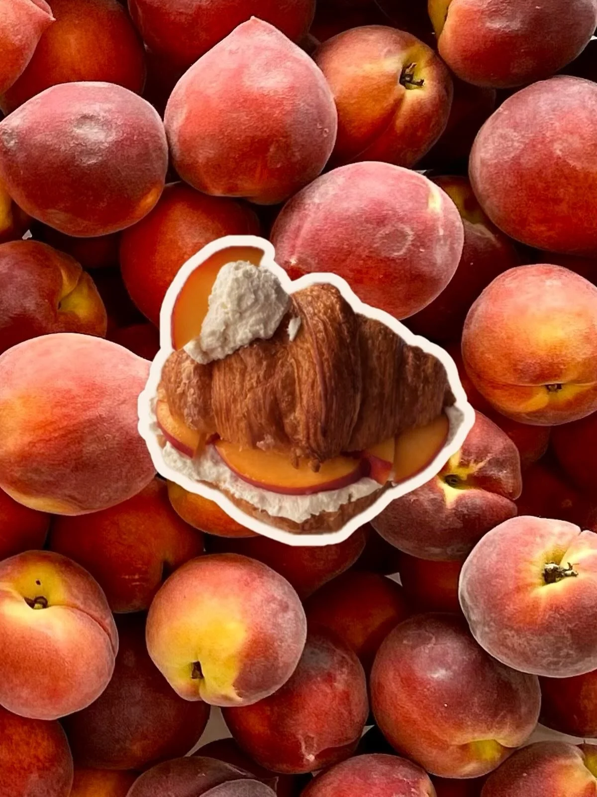 Introducing our Peaches And Cream Croissant! Peach season is officially here and we are loving it! 🍑 

Our farmers are bringing us fresh, local peaches throughout the week and we&rsquo;re taking advantage of the abundance with our monthly croissant!