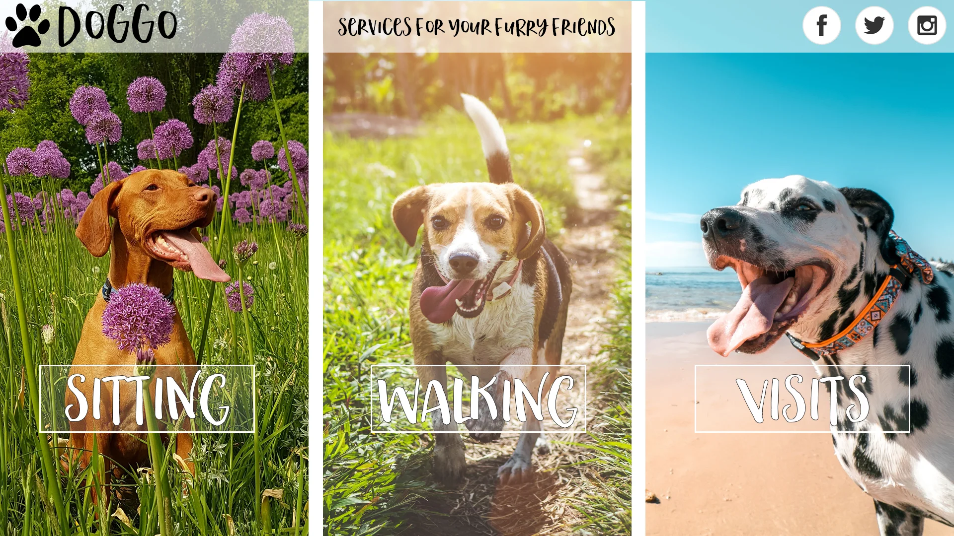   Website Concept  DOGGO Local concierge services for dog owners. 