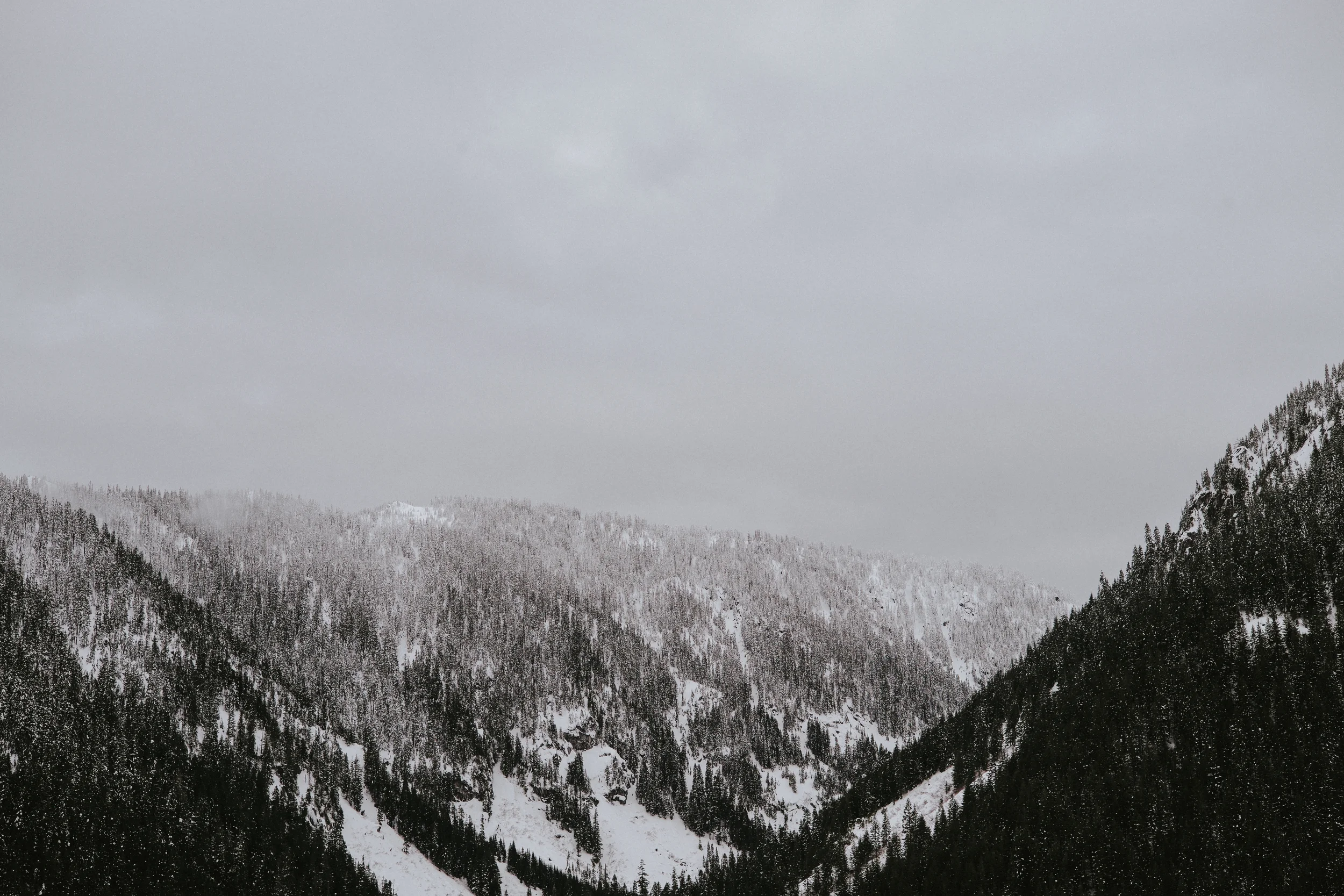 Steven's Pass Portraits | Tandy + Jason