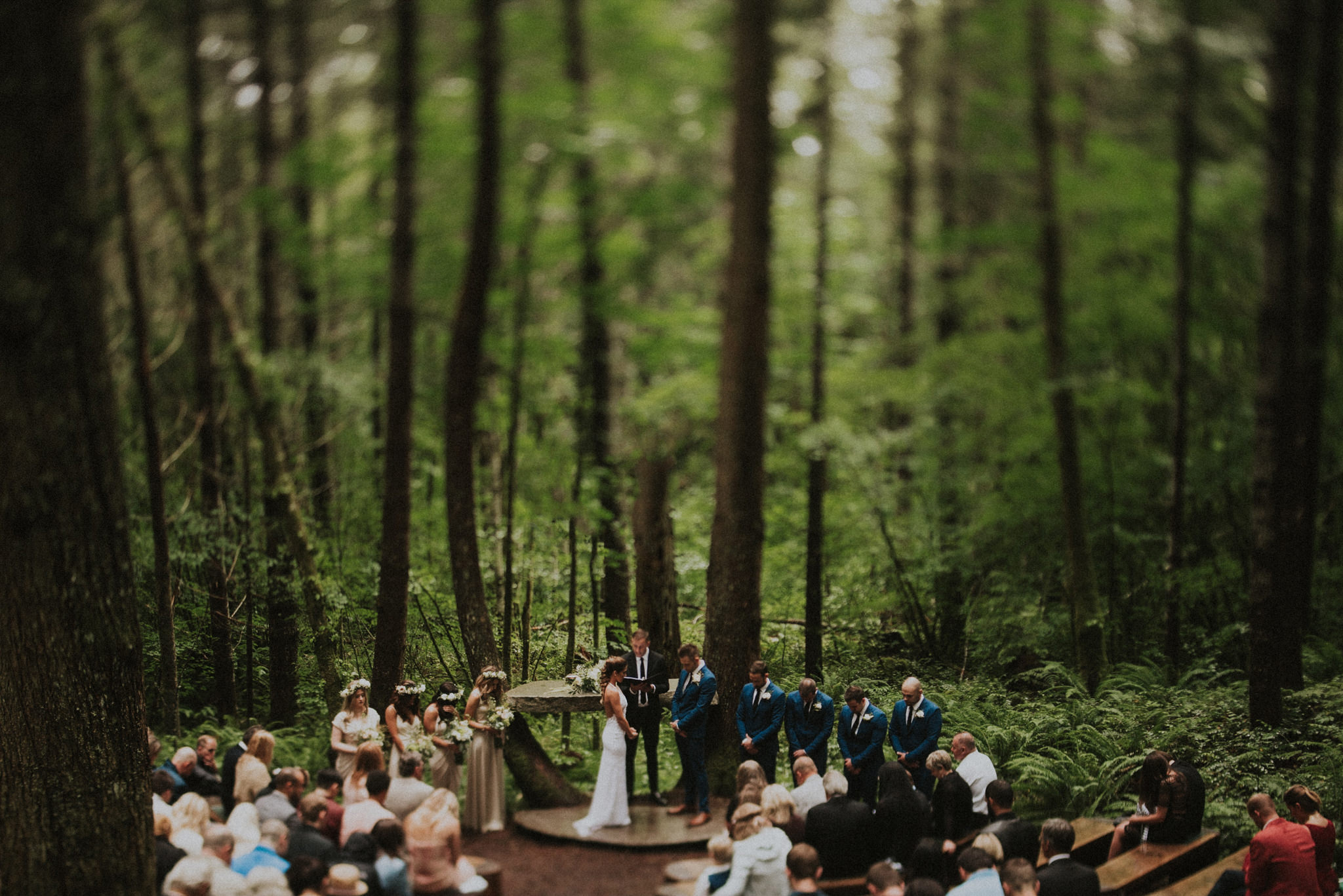 Mt. Rainier Wedding