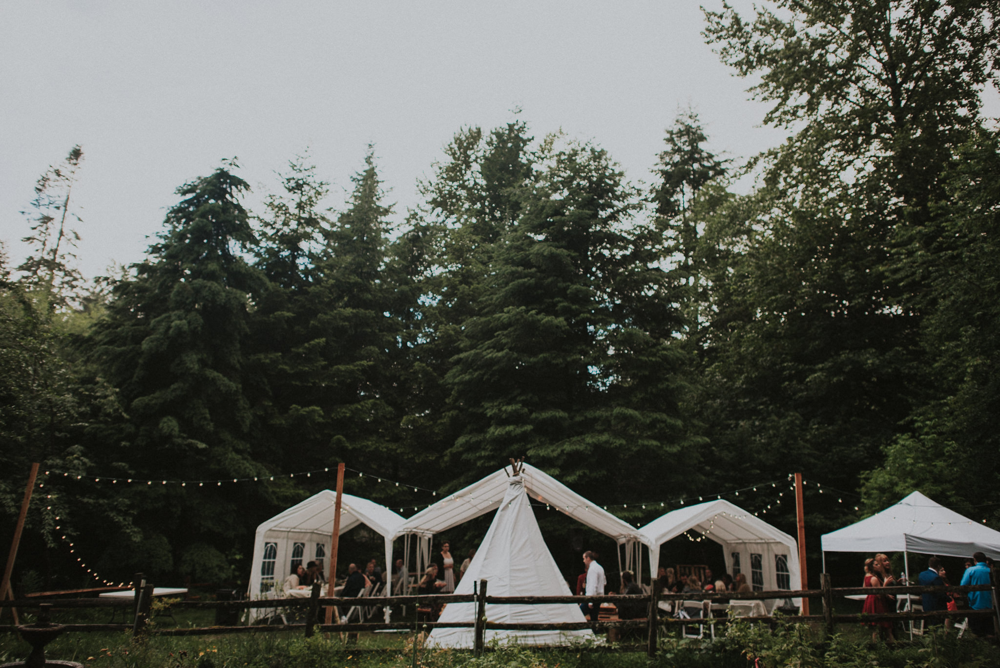 Mt. Rainier Wedding