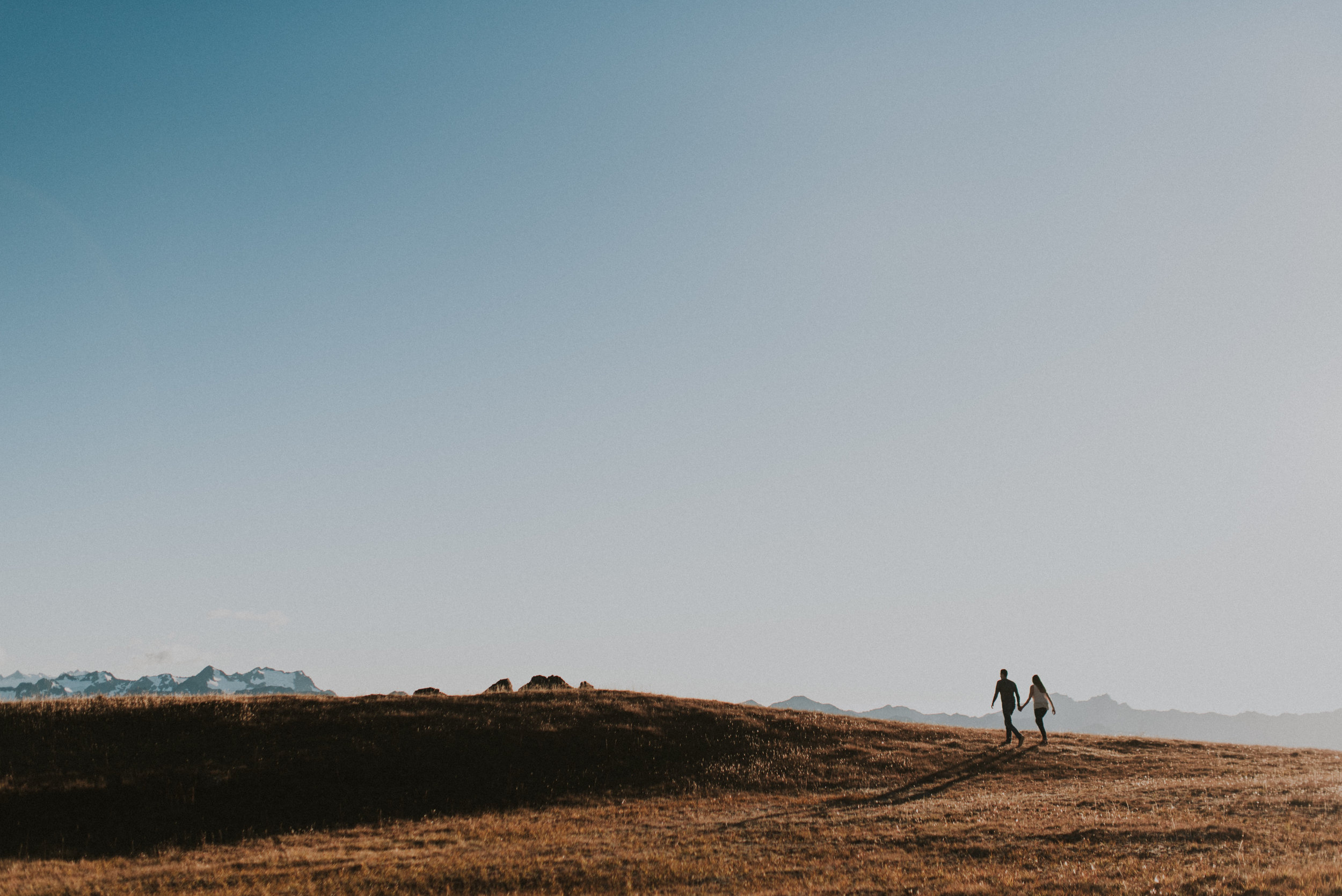 Hurricane Ridge Engagement