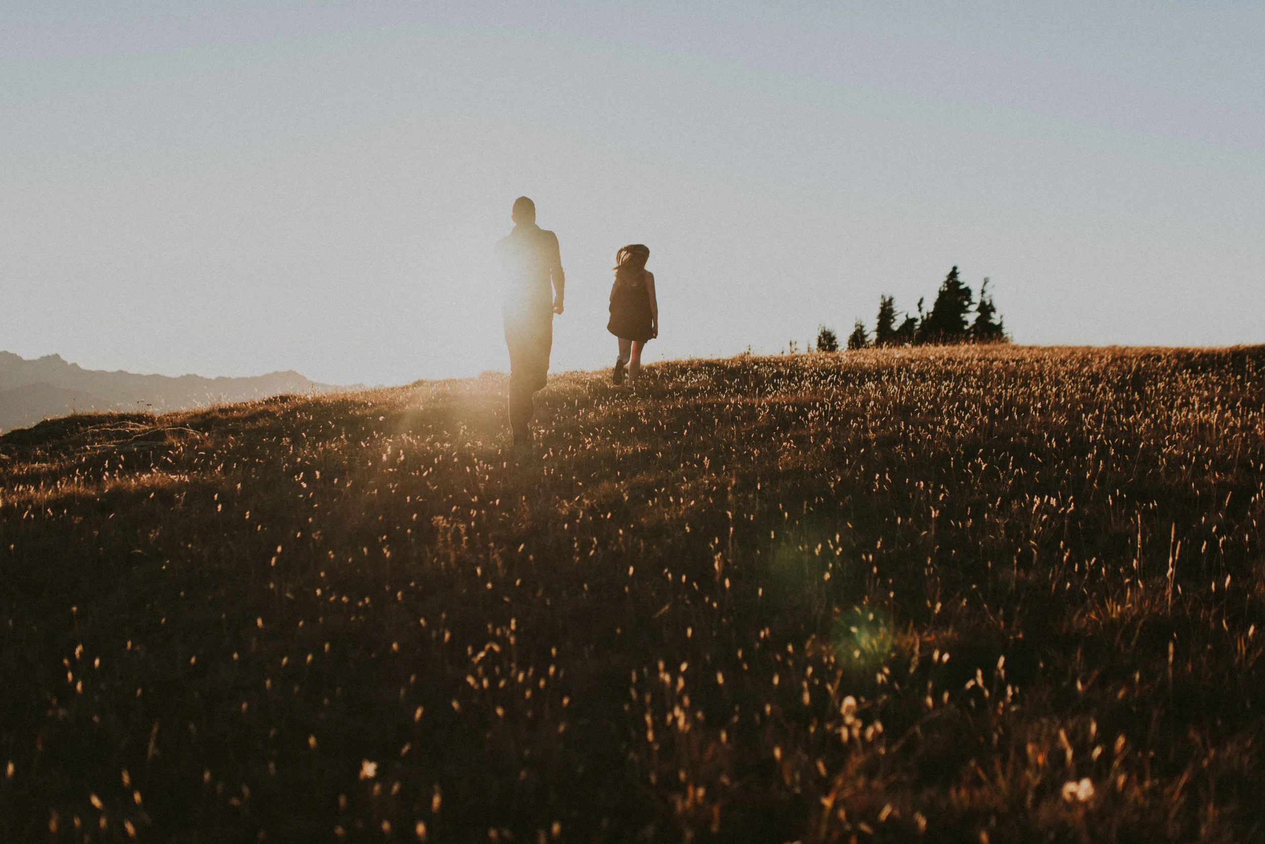 Hurricane Ridge Engagement