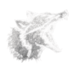 icons09.png