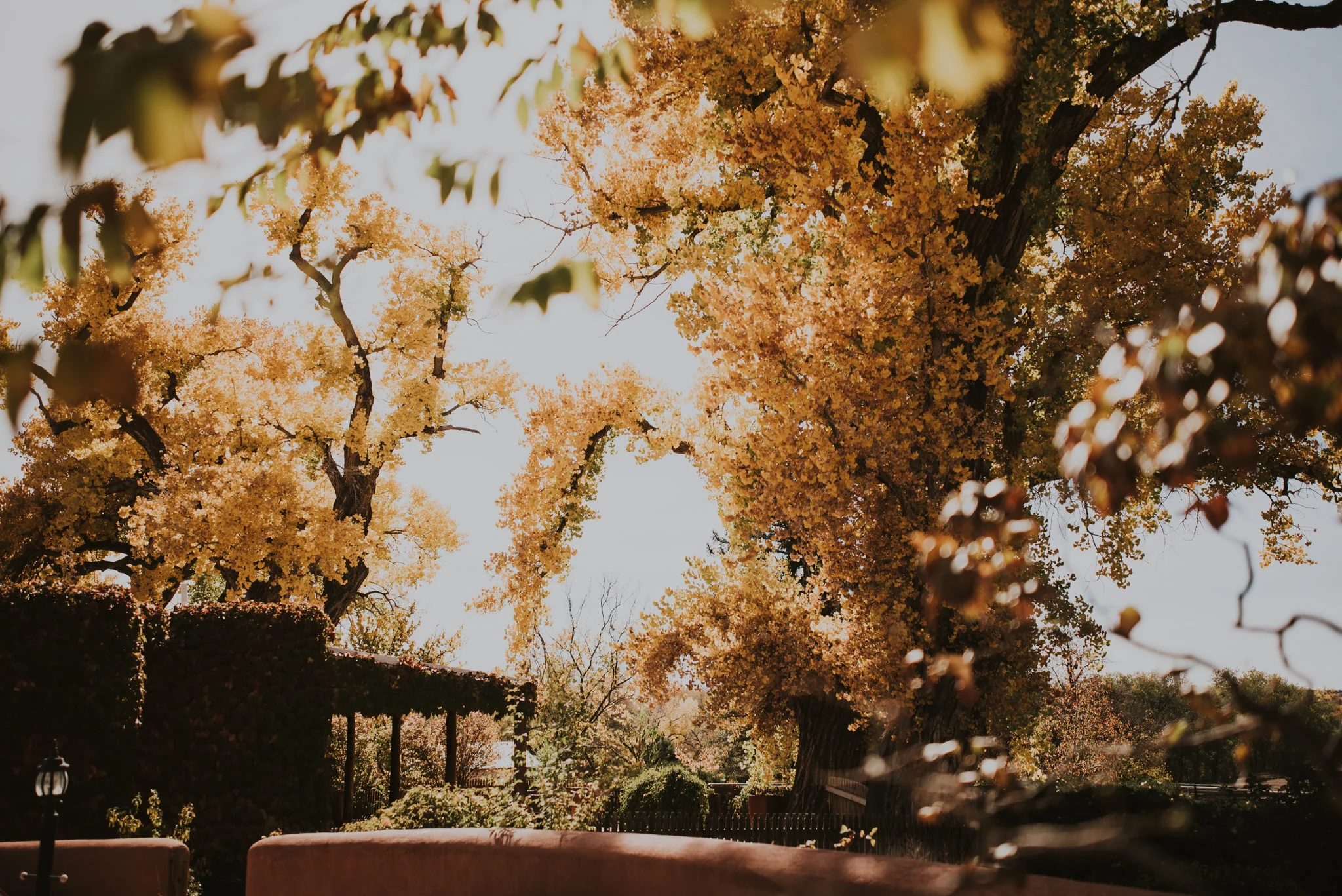 new mexico wedding