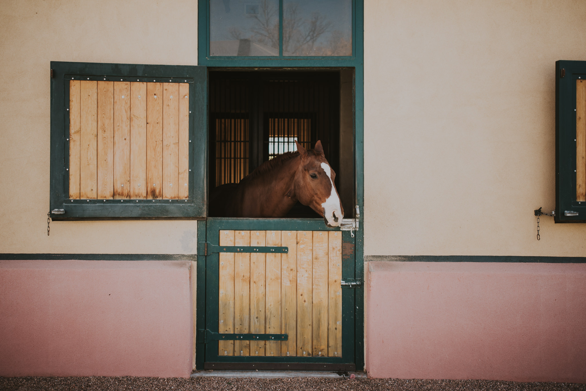 new mexico wedding photos