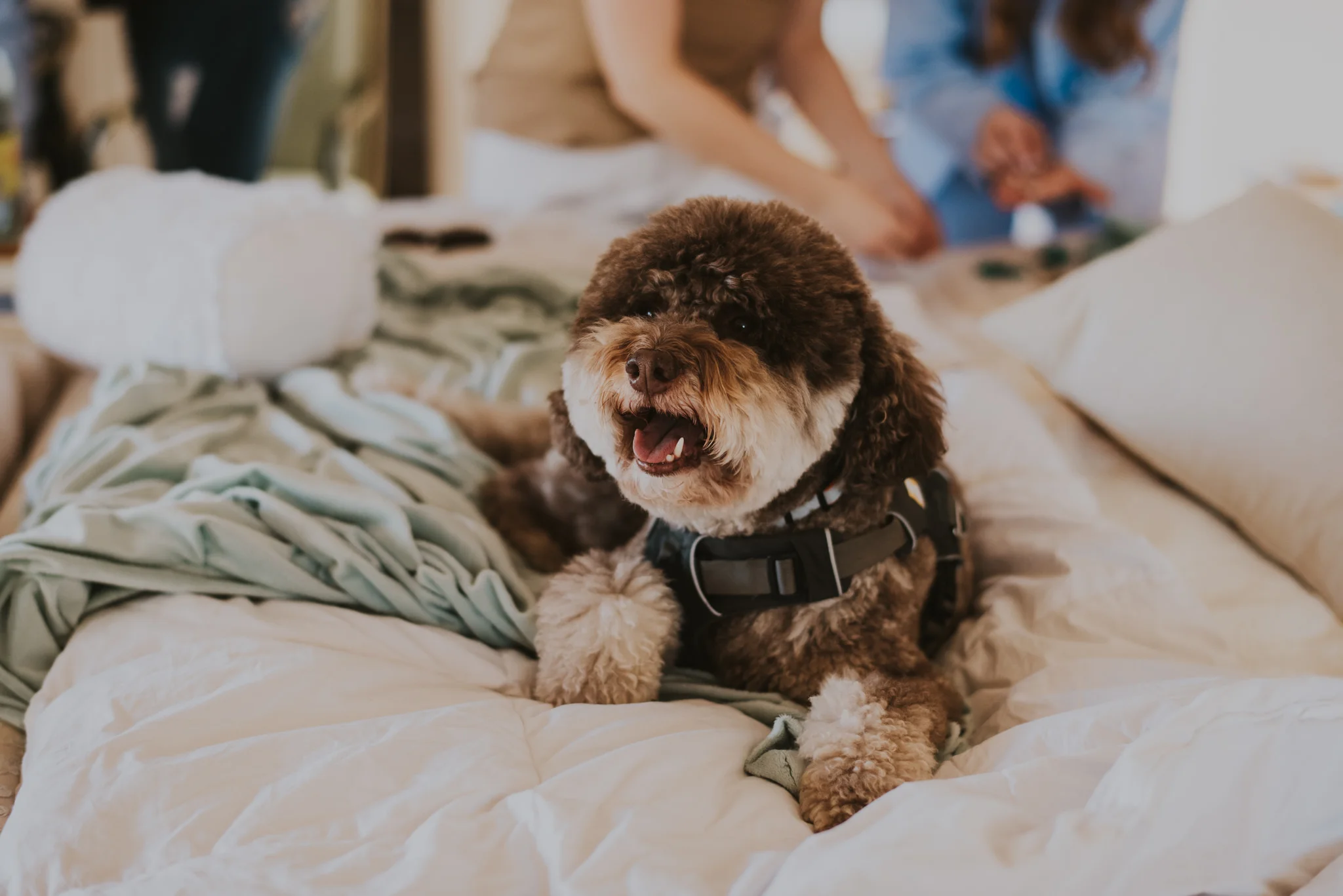 wedding photographer new mexico