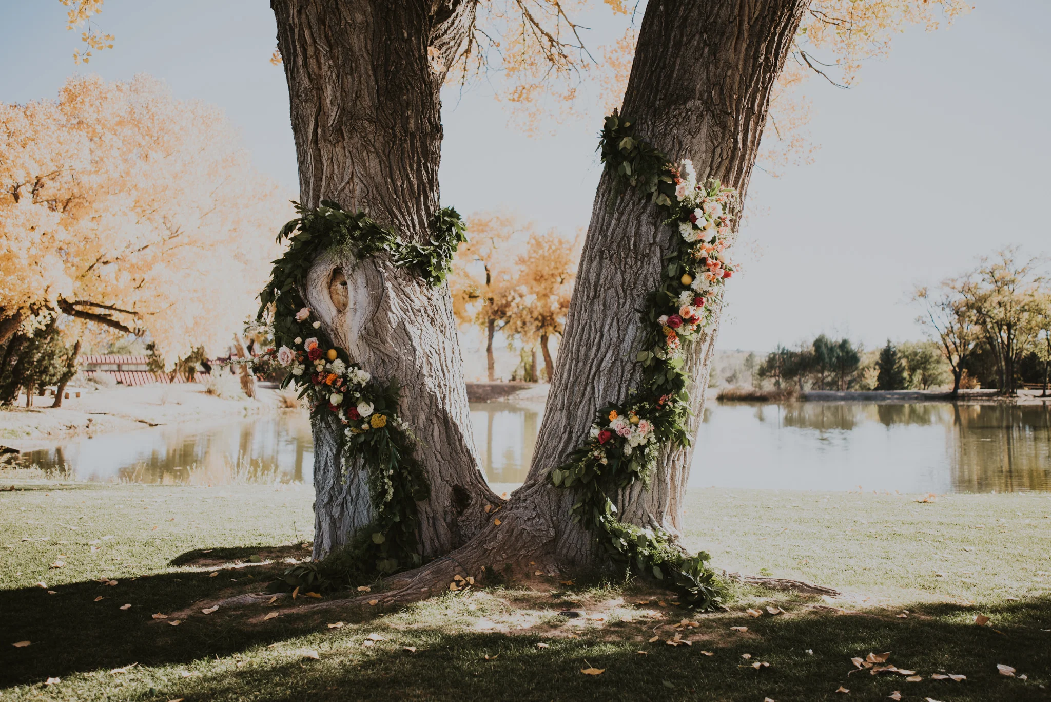 wedding photographer new mexico