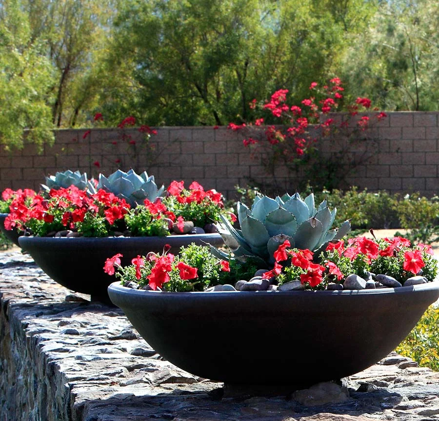 Texas Nativescapes Modern Flower Container Arrangments 02.jpg