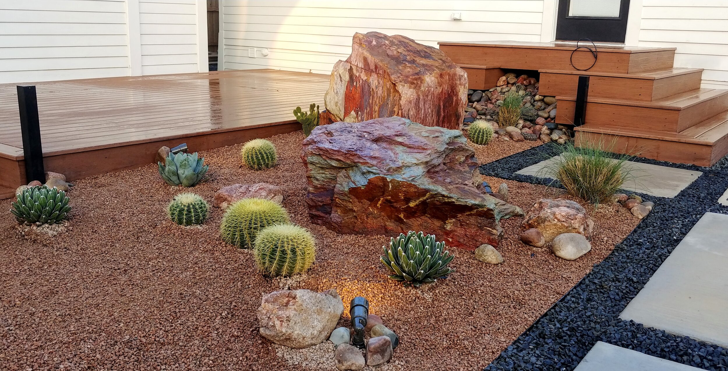 Texas Nativescapes Cactus Garden .jpg